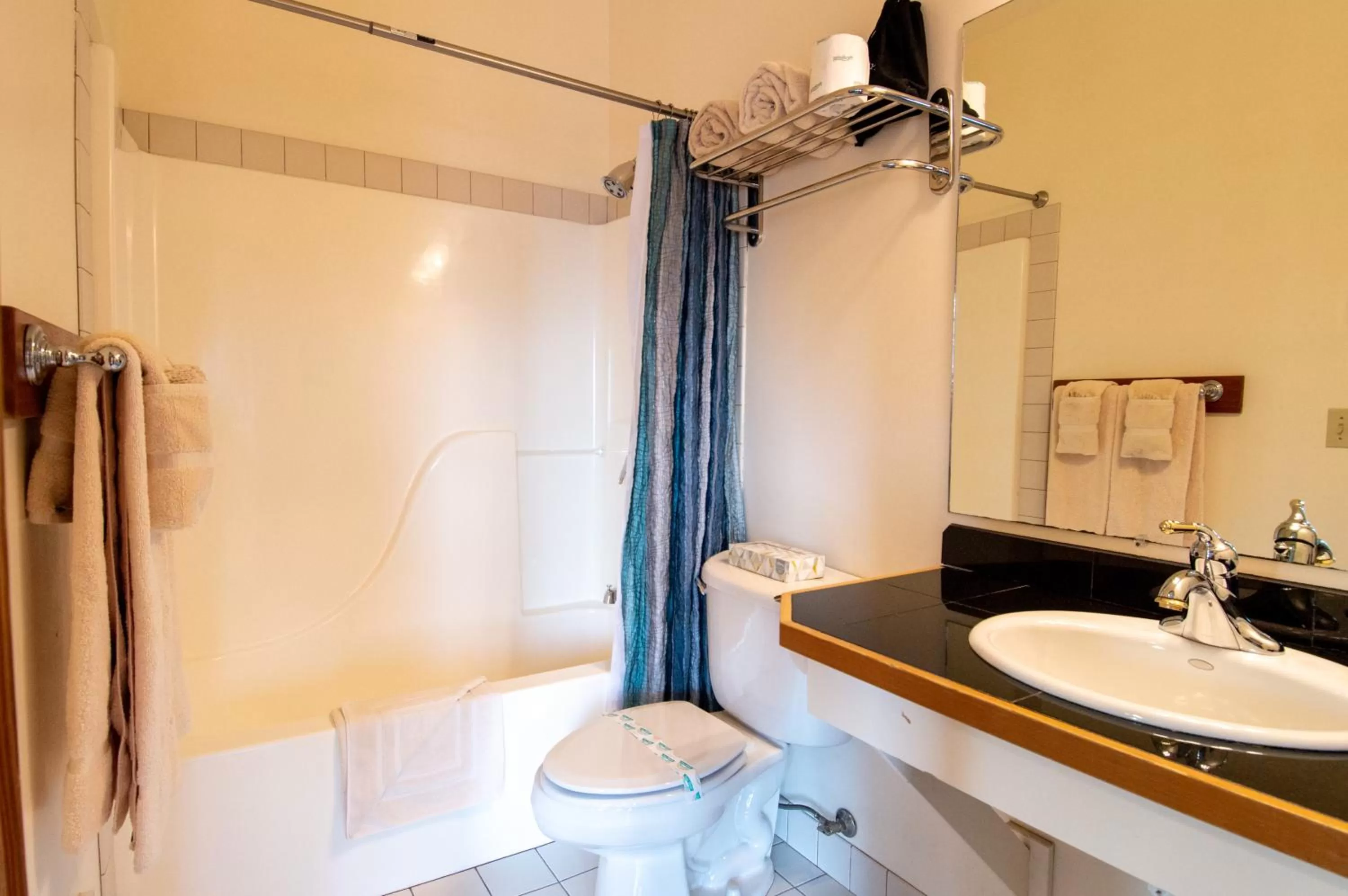 Bathroom in The Swan Hotel