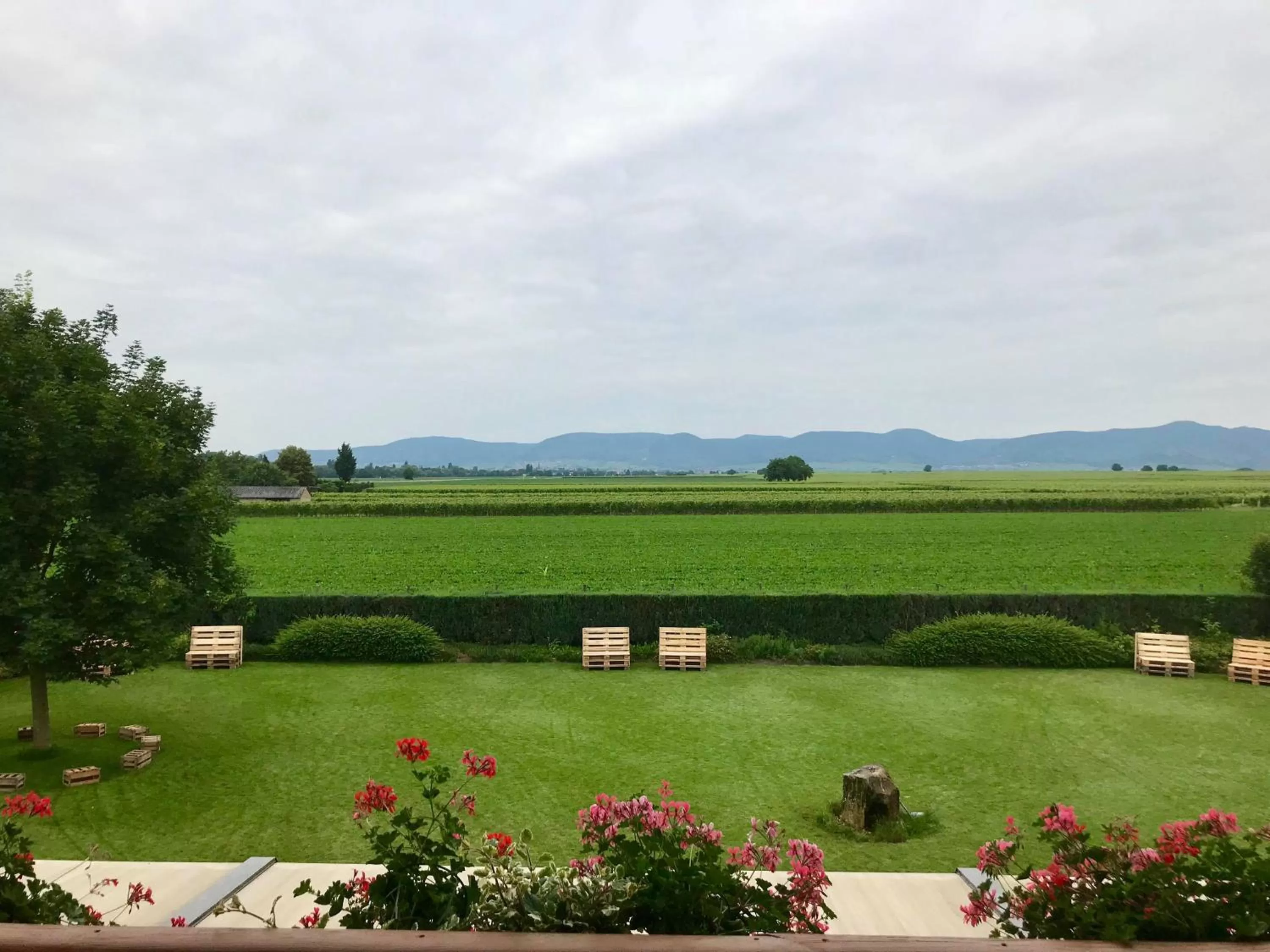 Natural landscape in Gästehaus Vinetum