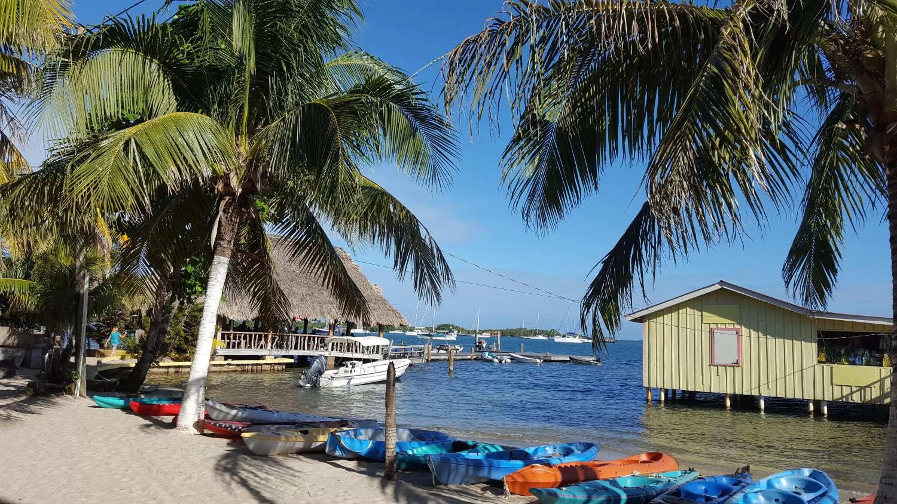 View (from property/room), Beach in Alan's Paradise Hotel