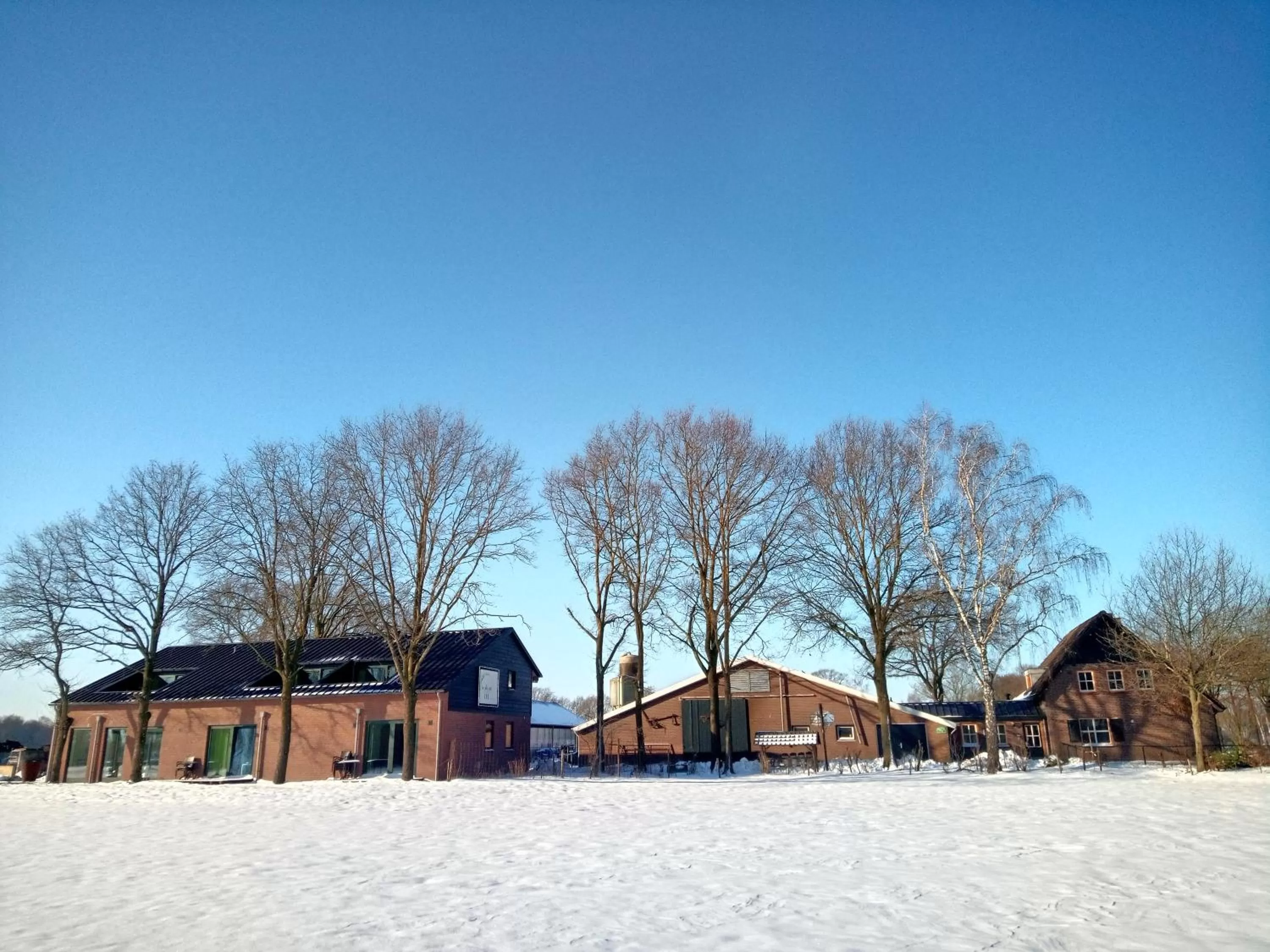 Winter in B&B In de Wei