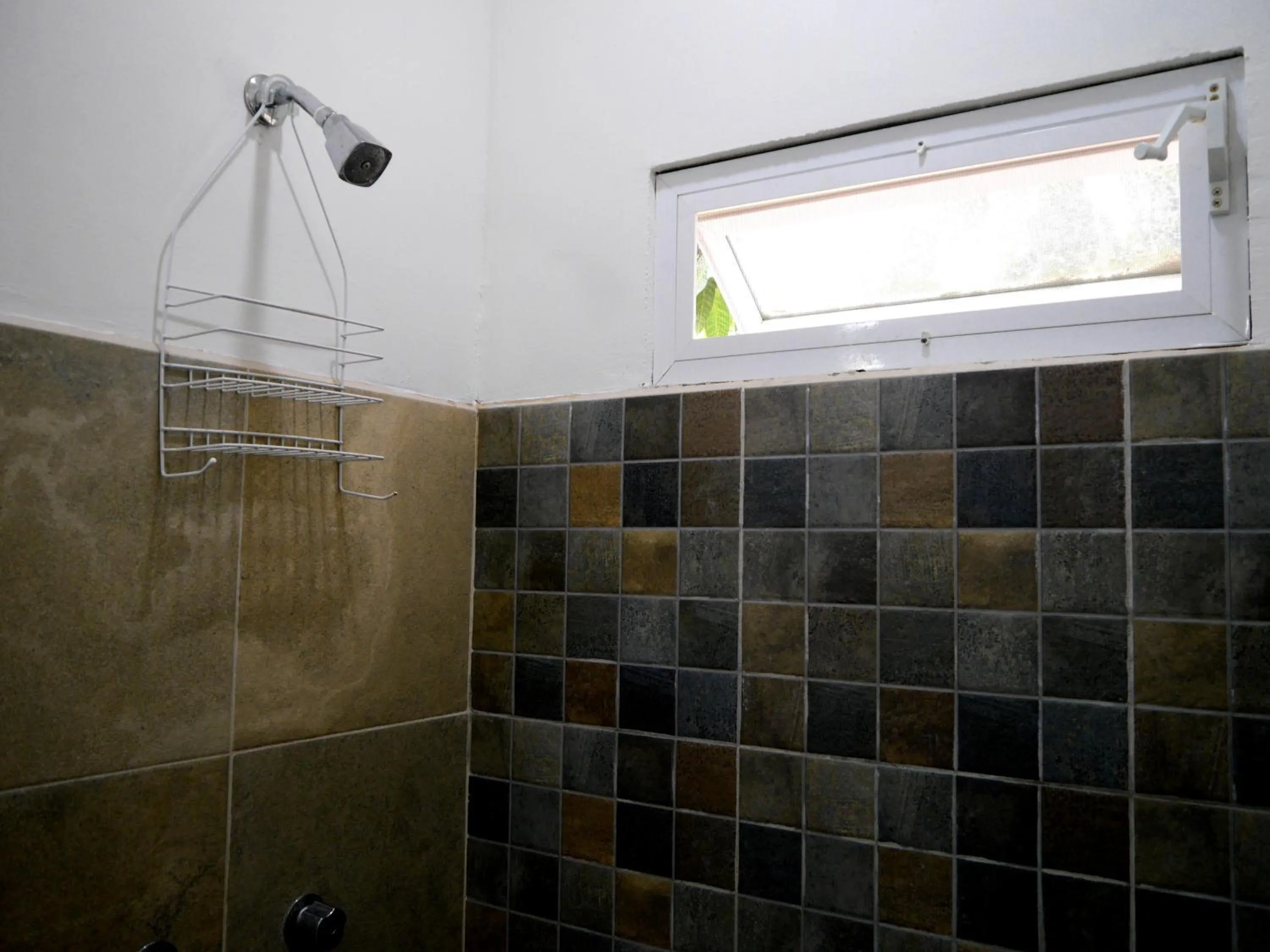 Shower in Hostel Hospedarte Chapultepec