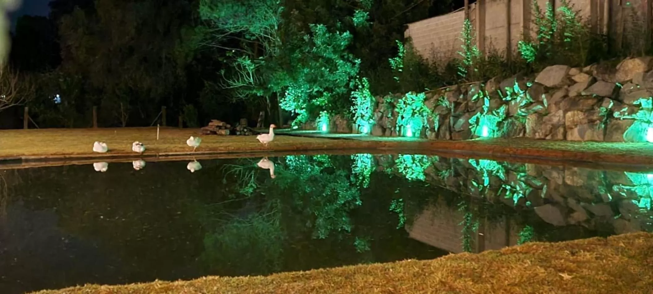 Night in Pousada Trem Chic