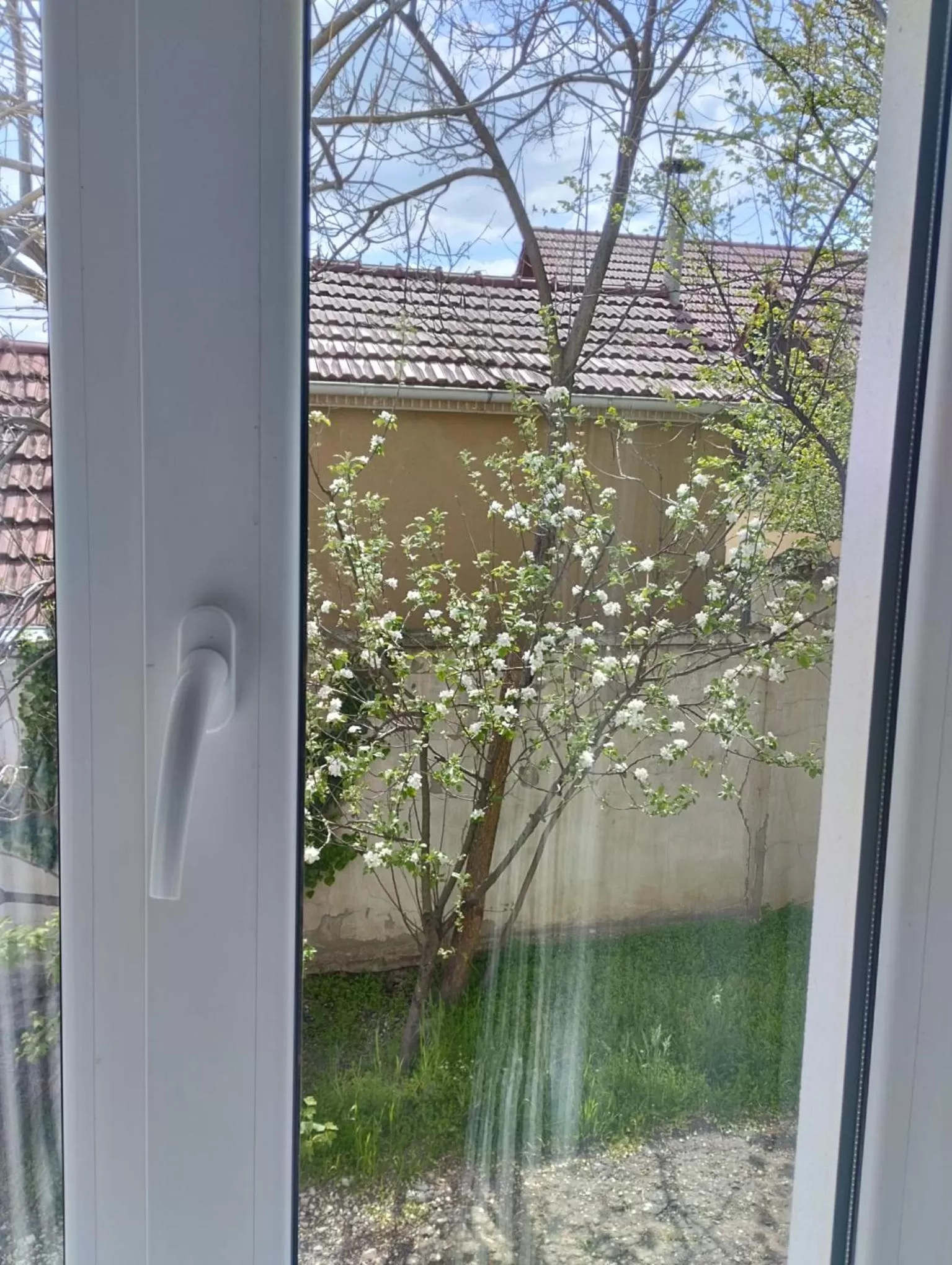 Spring in PARK-hotel