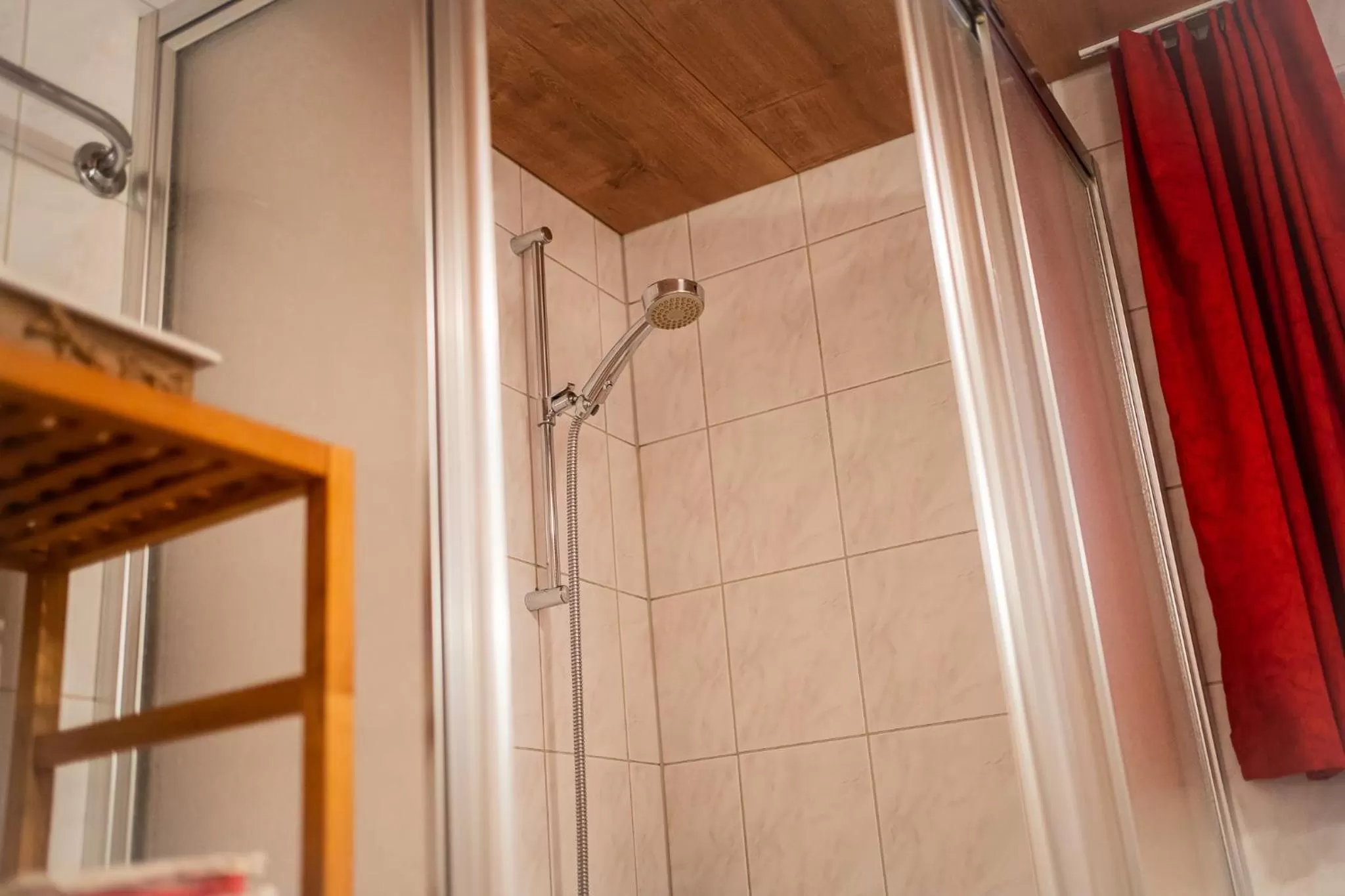 Shower, Bathroom in Bnbetschart