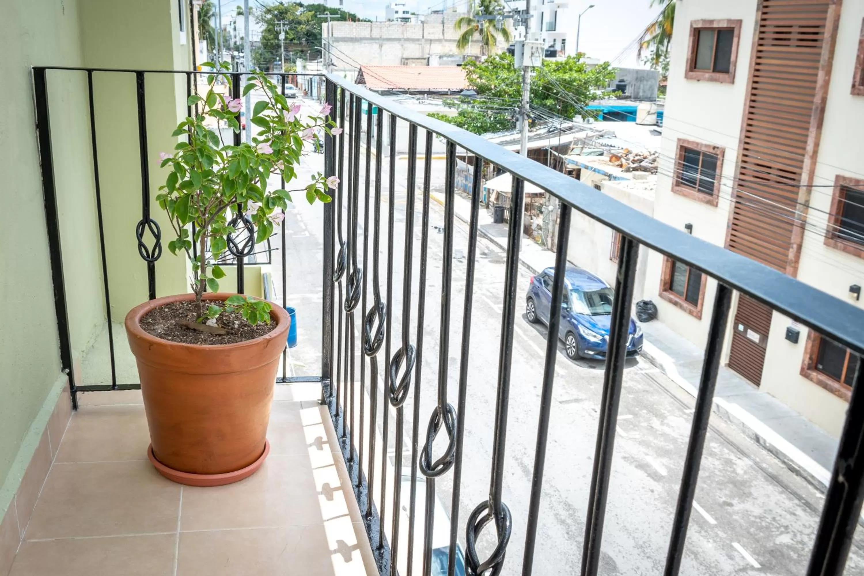 Street view in Casa Rodina