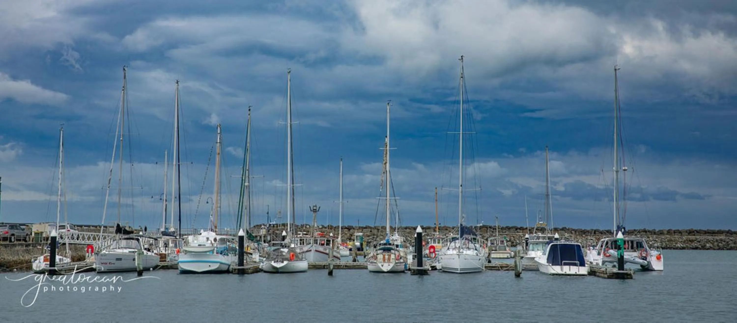 Fishing in Best Western Apollo Bay Motel