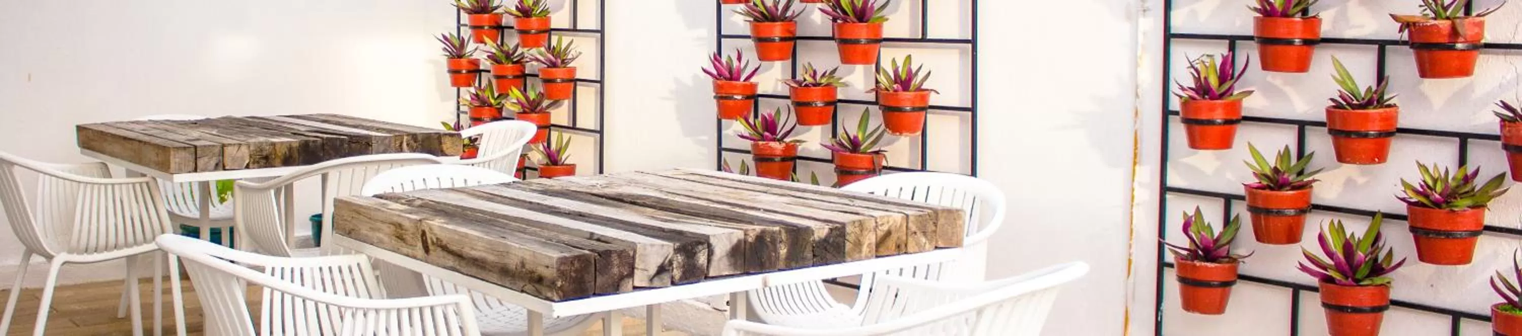 Bed in Moloch Hostel & Suites