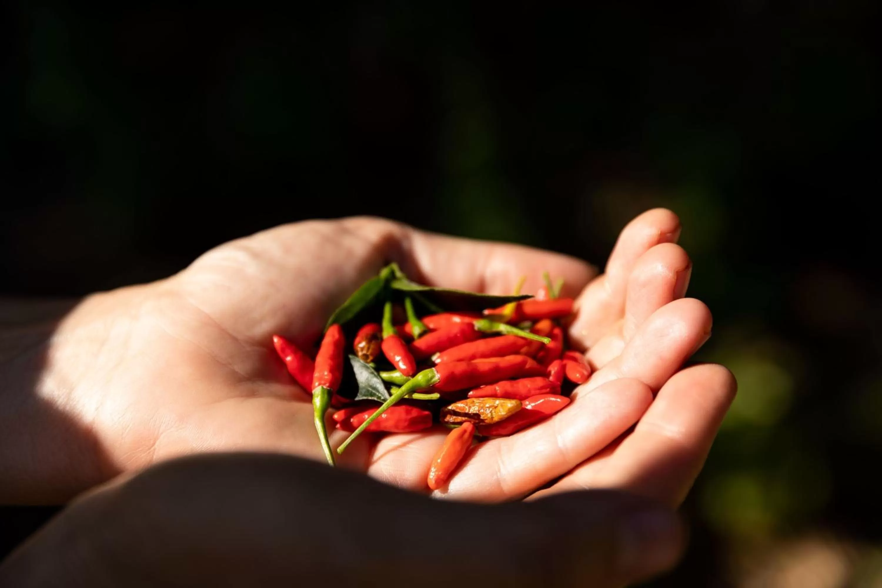 Restaurant/places to eat in Ciêla, Lusaka, a Tribute Portfolio Resort and Spa