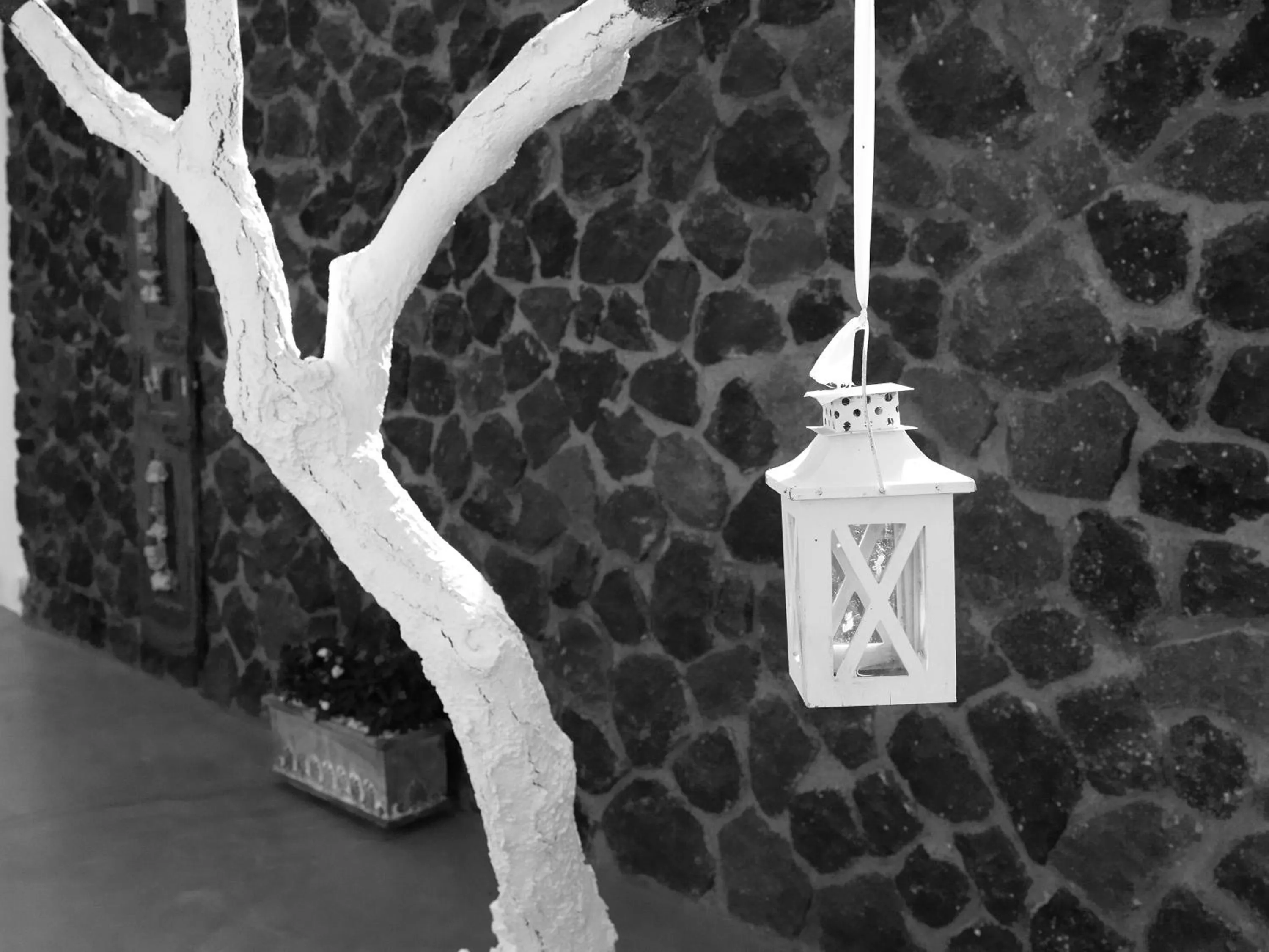 Property building in San Marino Suites by Calm Collection