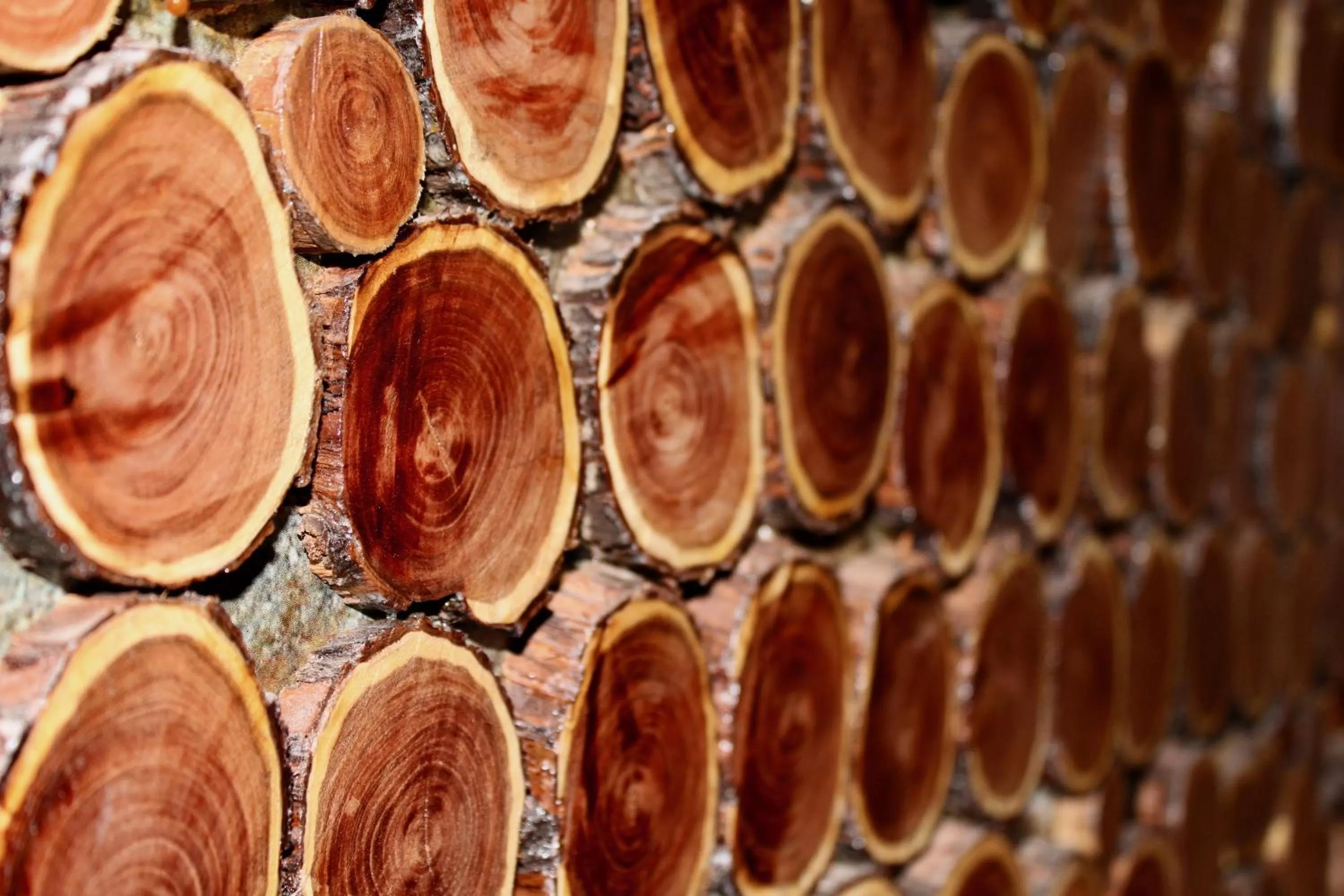 Hotel Manada del Desierto