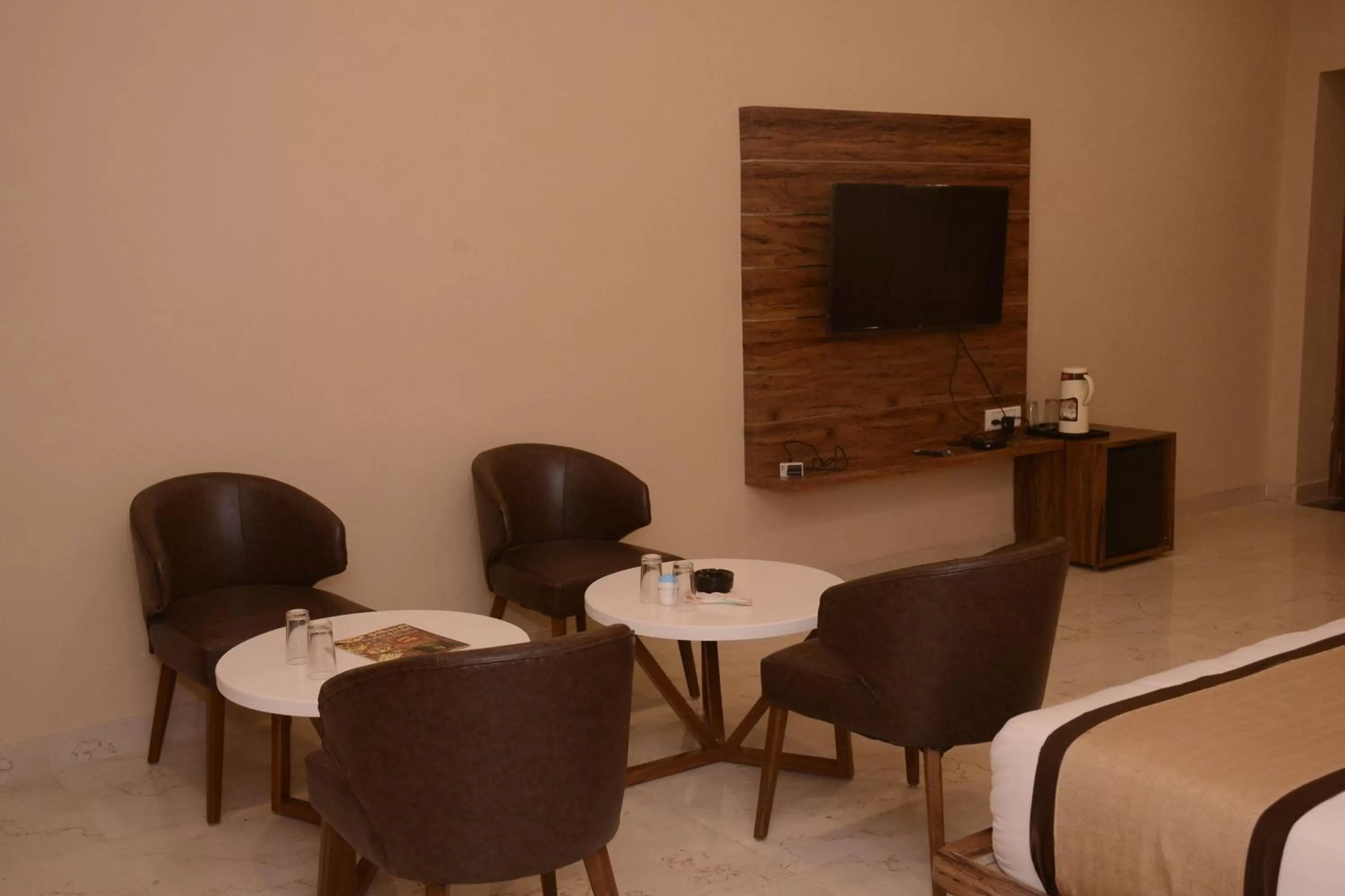 TV and multimedia, Seating Area in Hotel Bharat