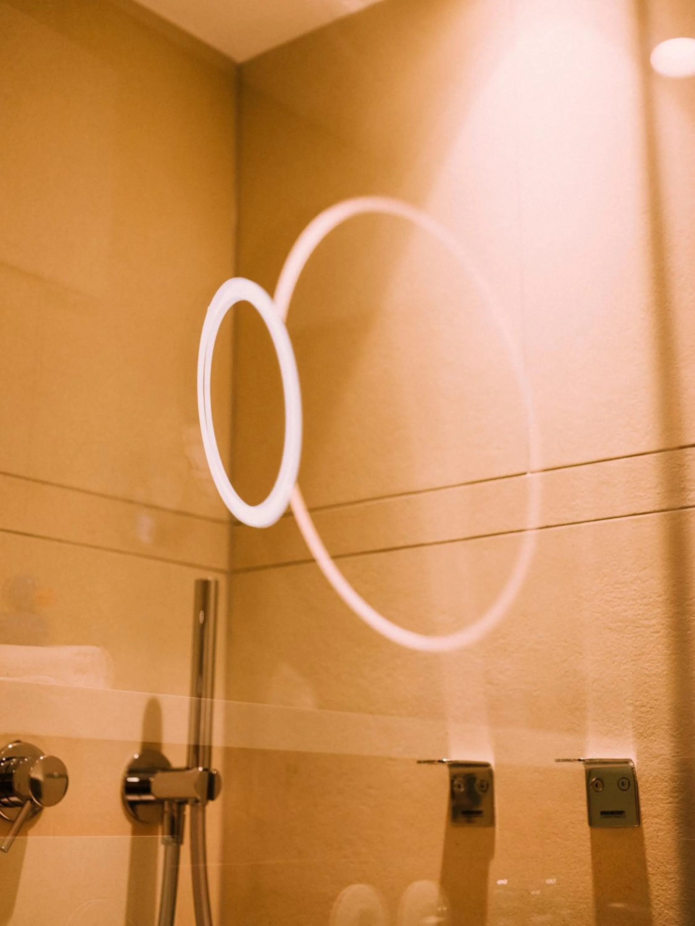 Shower in artHotel Blaue Gans