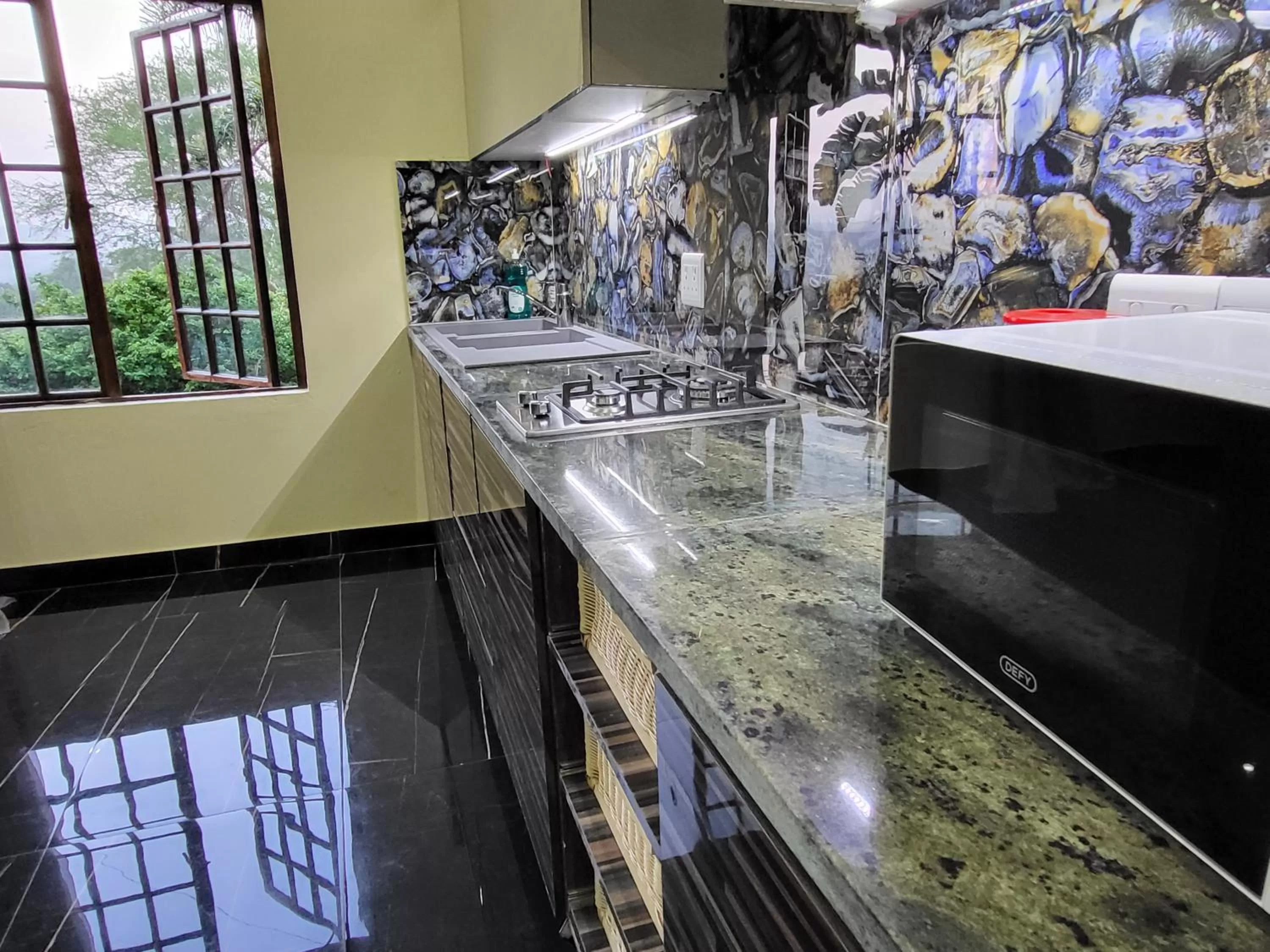 Kitchen or kitchenette in Gem of Manor drive