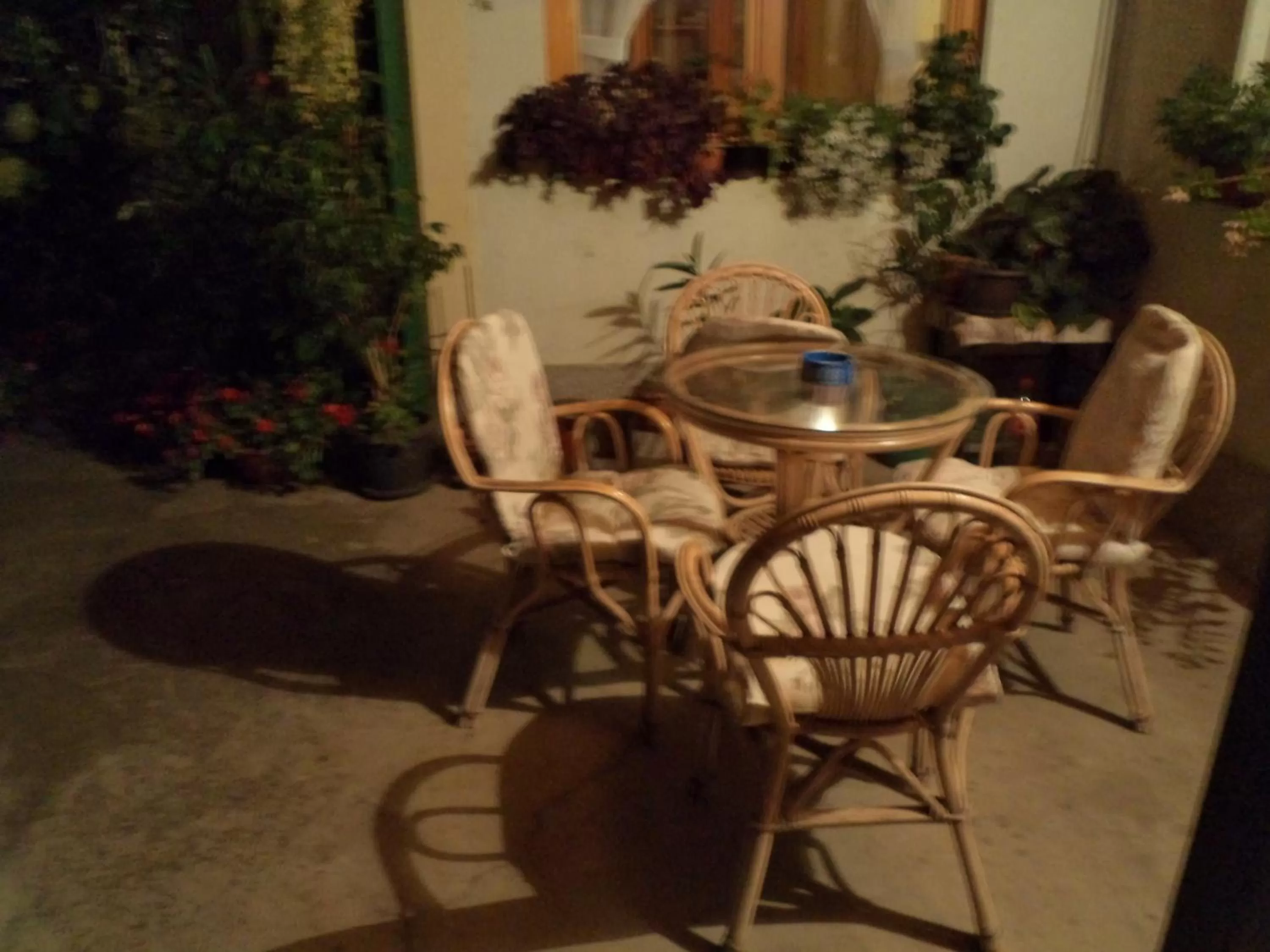 Garden in Hotel Le Village