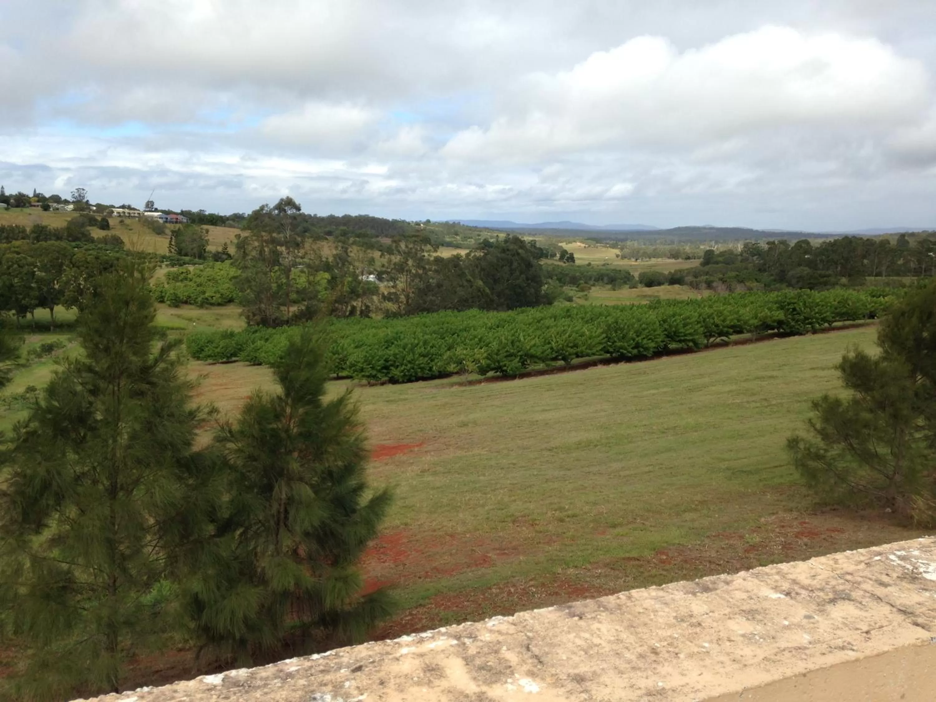 Landmark view in Avocado Motor Inn