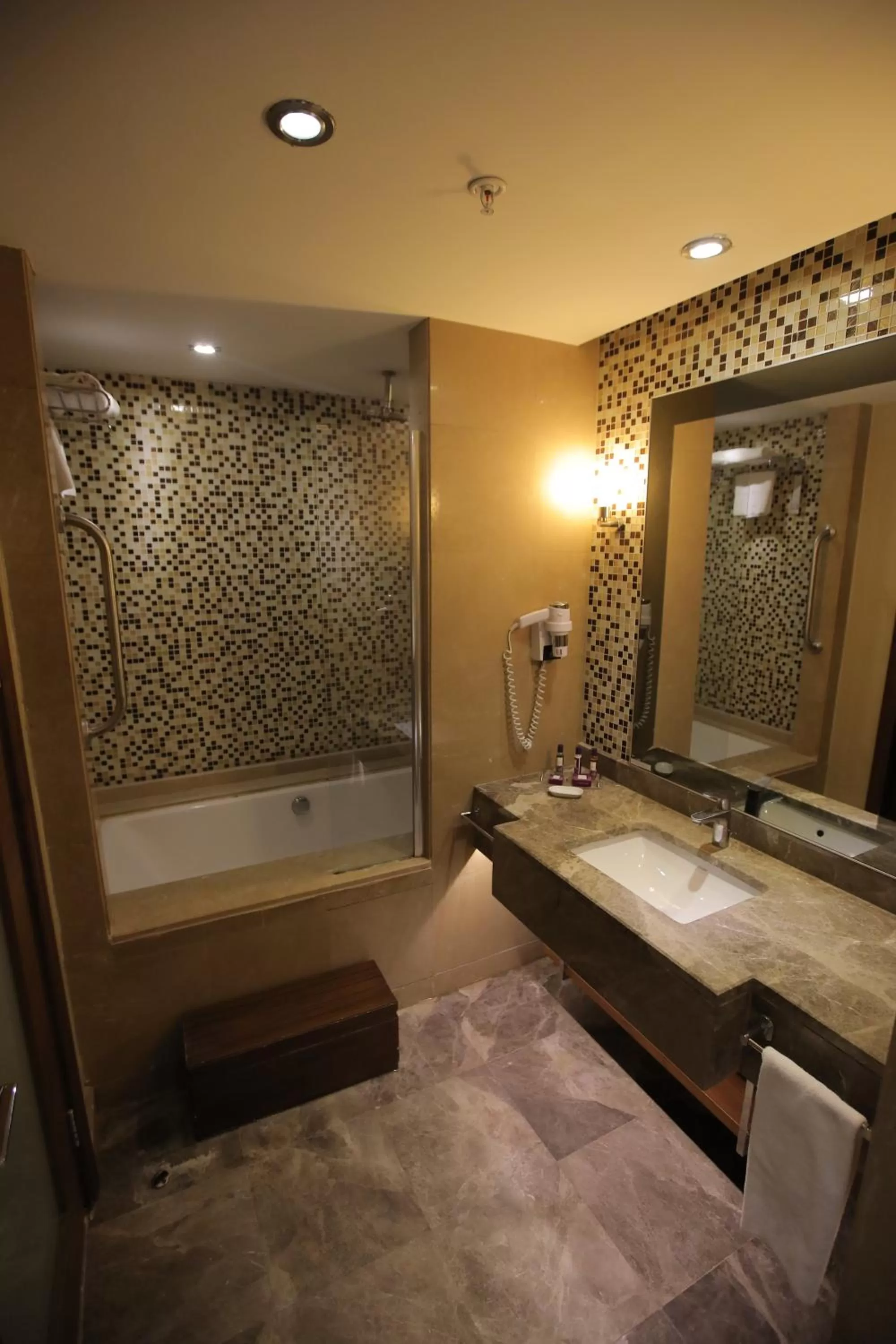 Deluxe Double or Twin Room - single occupancy in Anemon Grand Samsun Otel