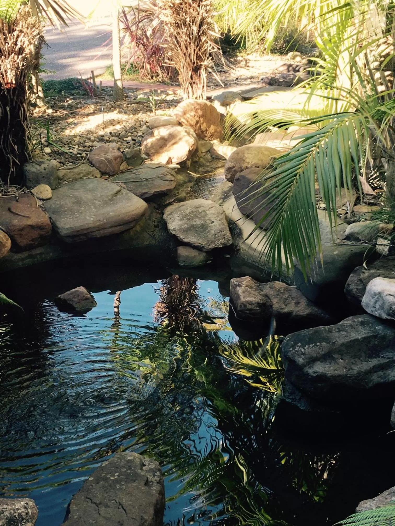 Garden view in Fairway Motor Inn