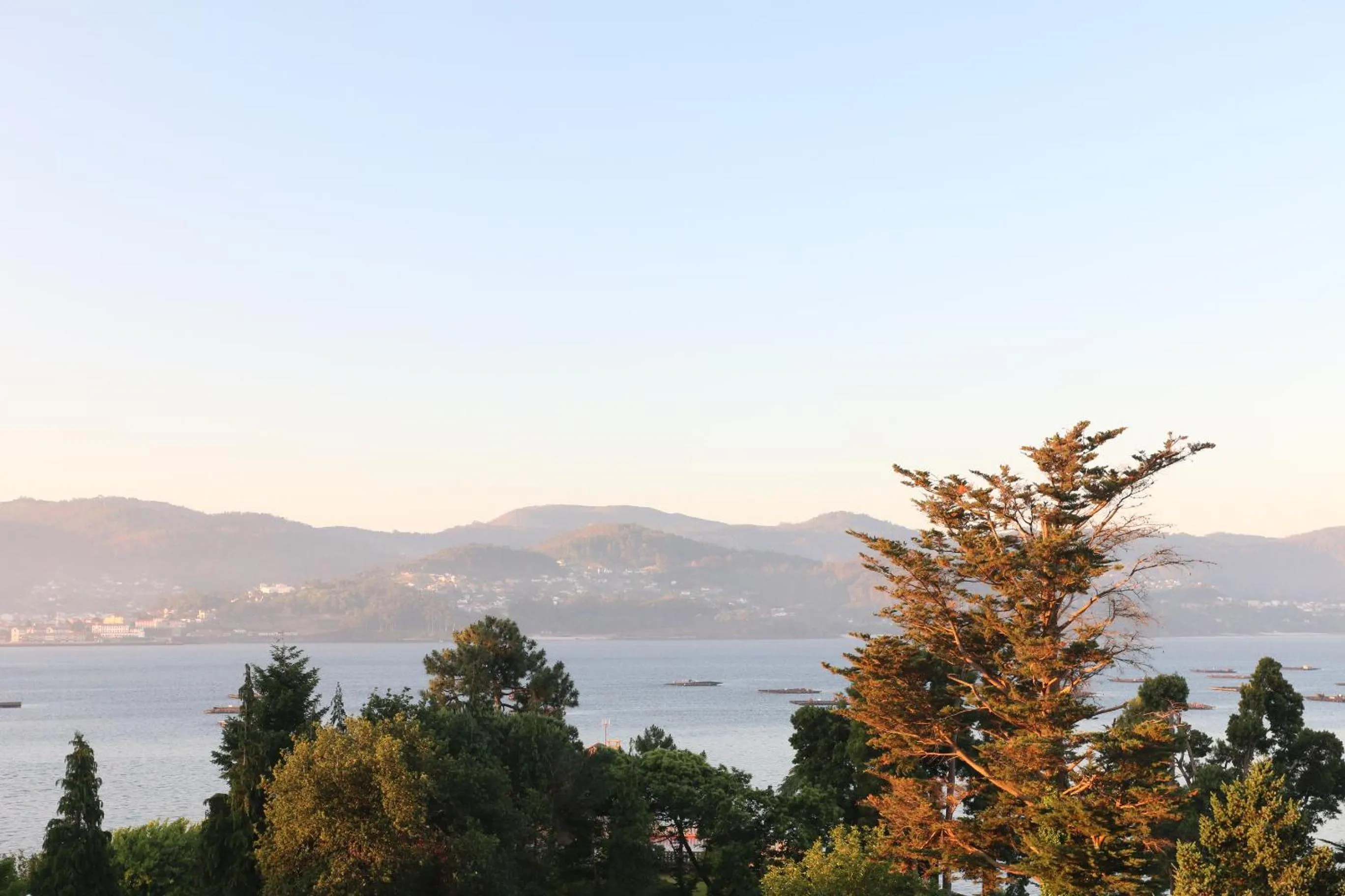 Sea view in Villa Covelo