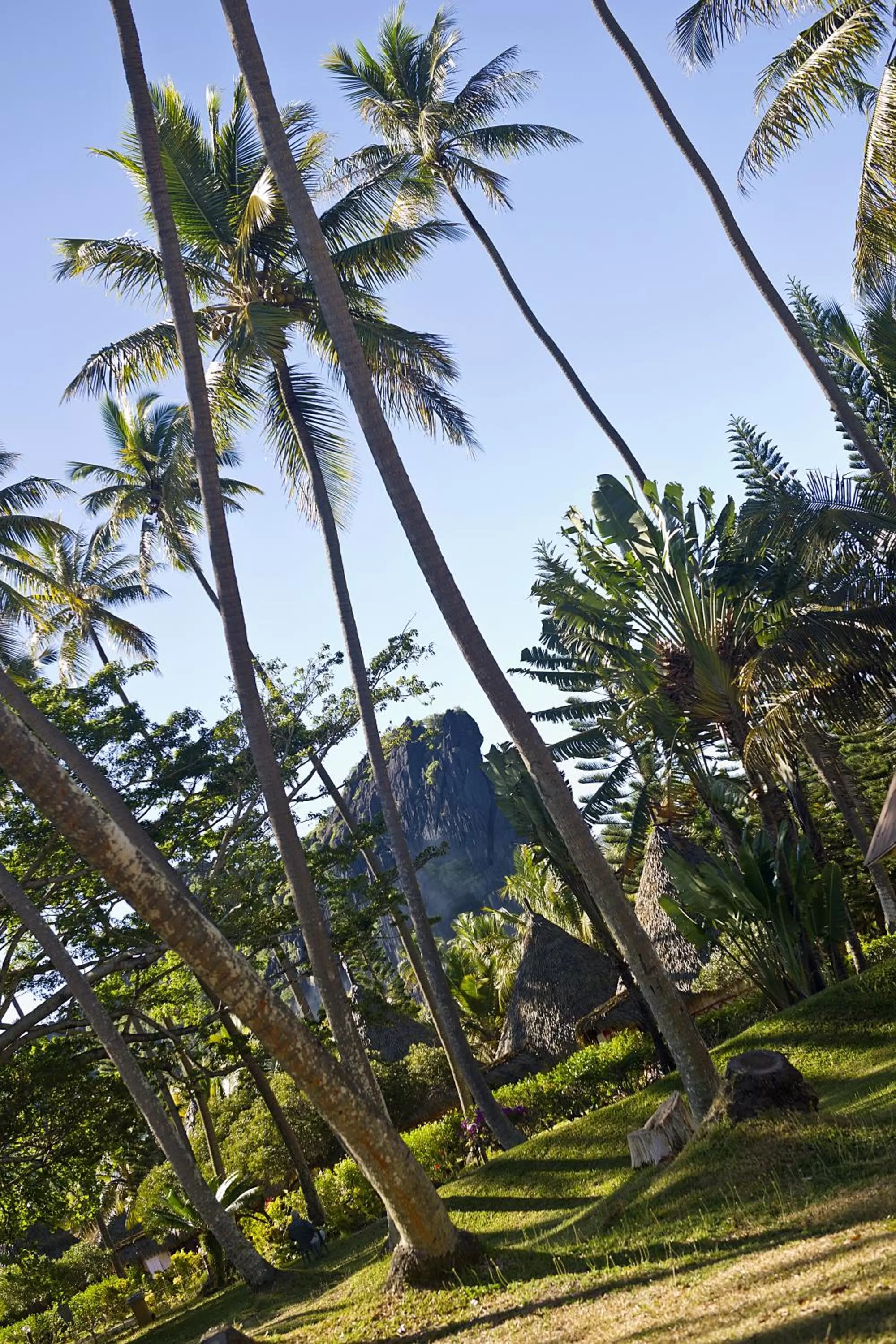 Natural landscape in Hotel Koulnoue Village