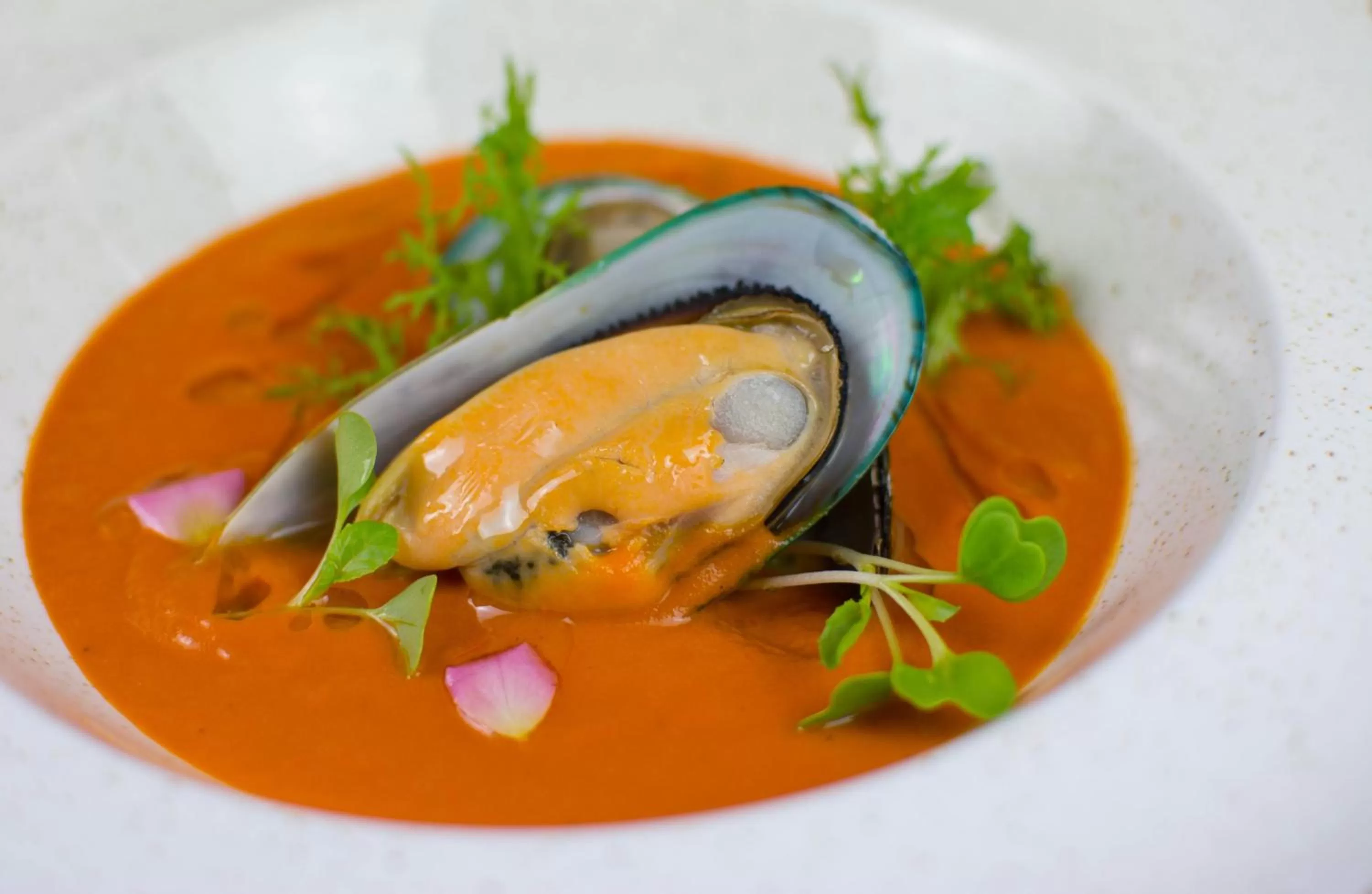 Food close-up in Hotel 1231