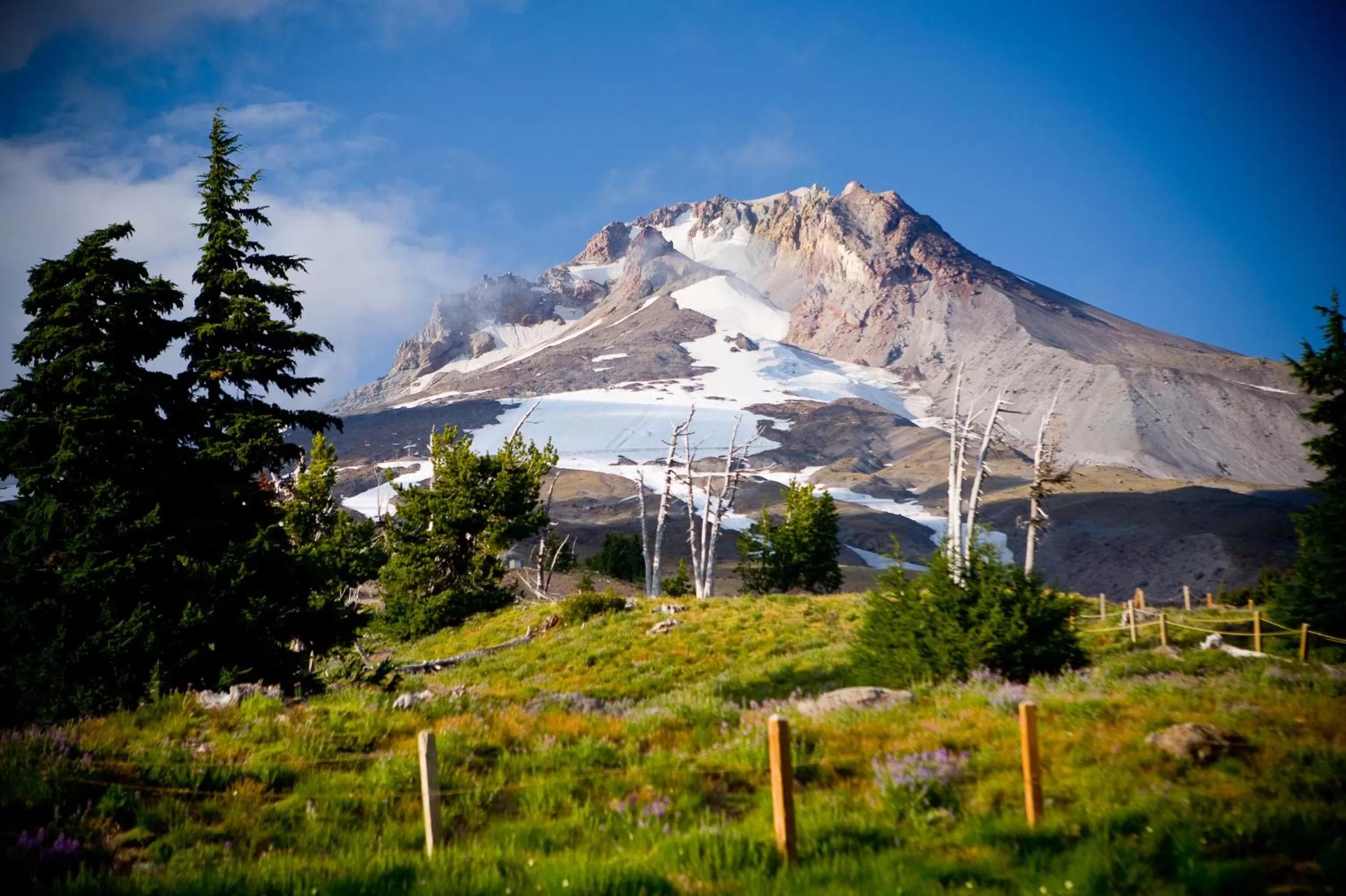 View (from property/room) in Timberline Lodge