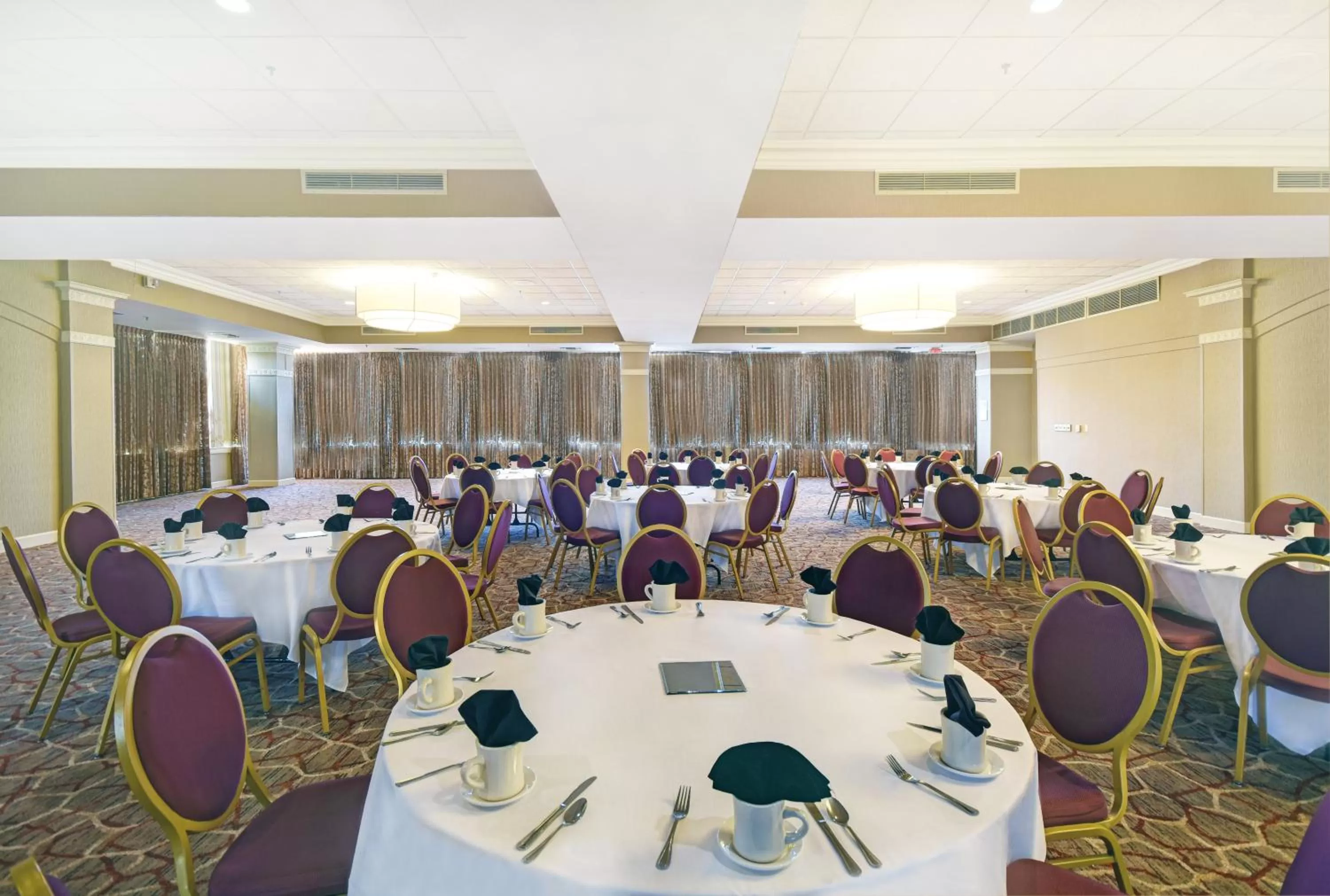 Banquet/Function facilities in Holiday Inn - Memphis Downtown - Beale St. by IHG