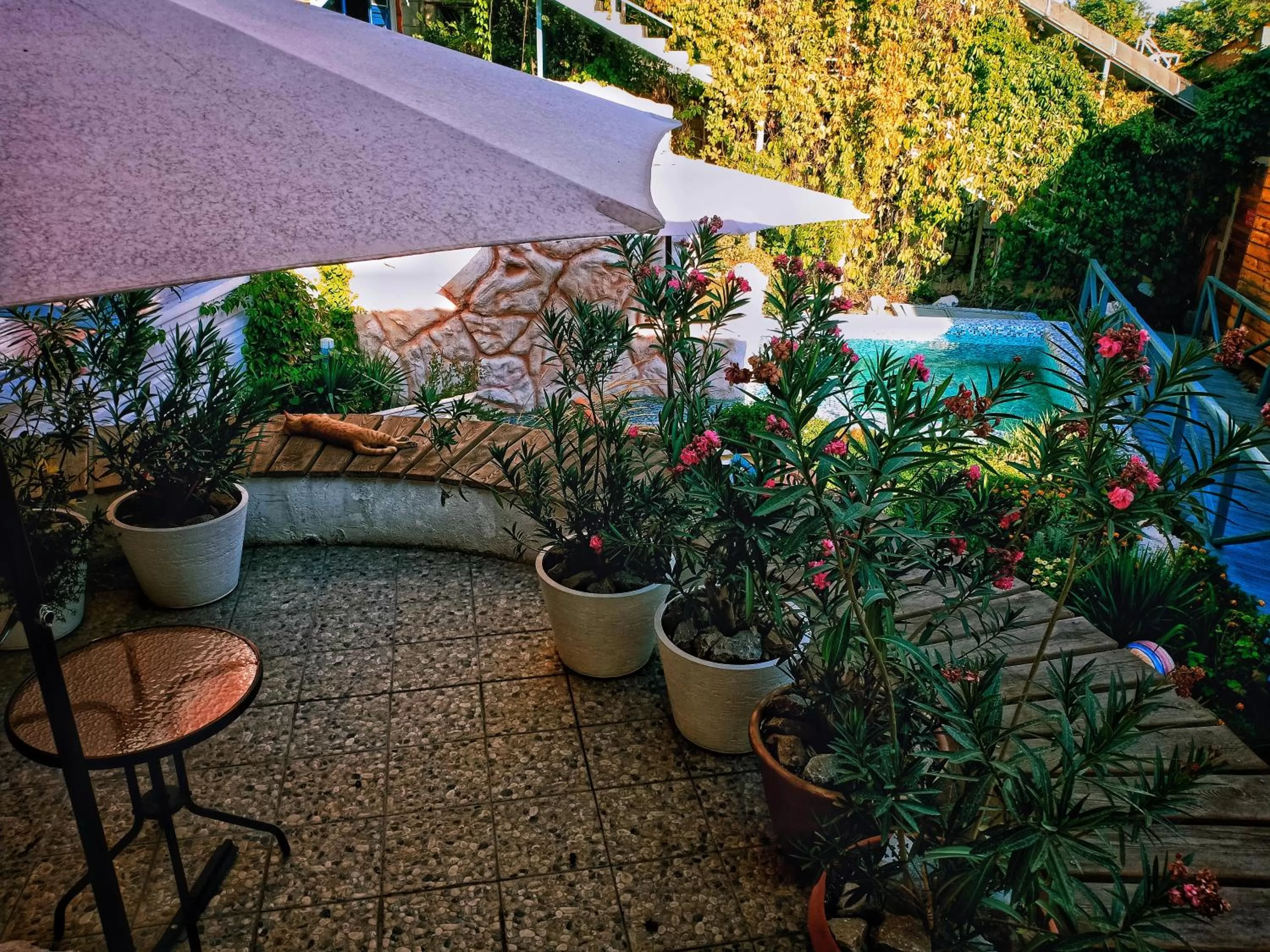 Property building in Sapar Standart Hotel