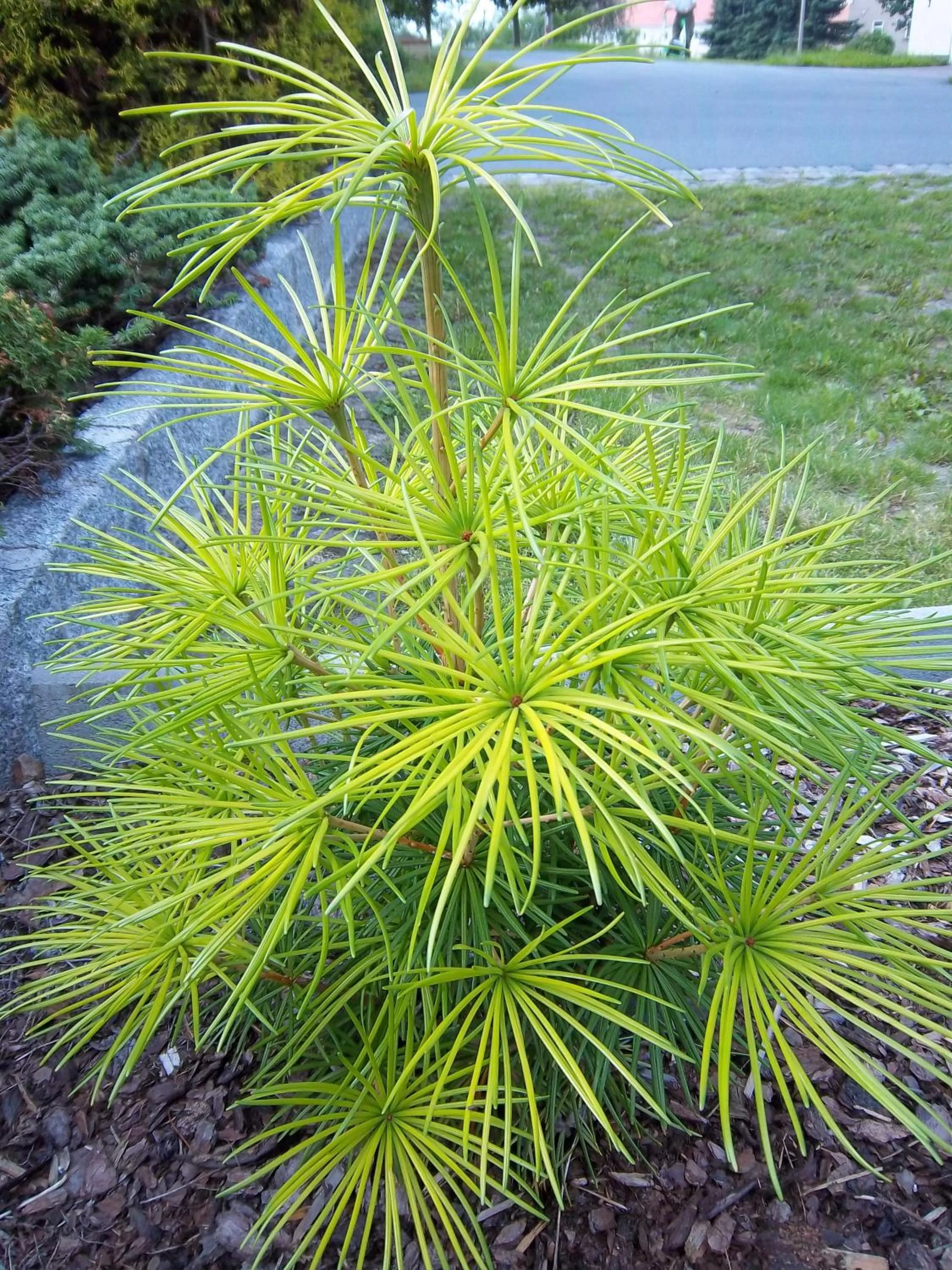 Hotel & Pension Aßmann