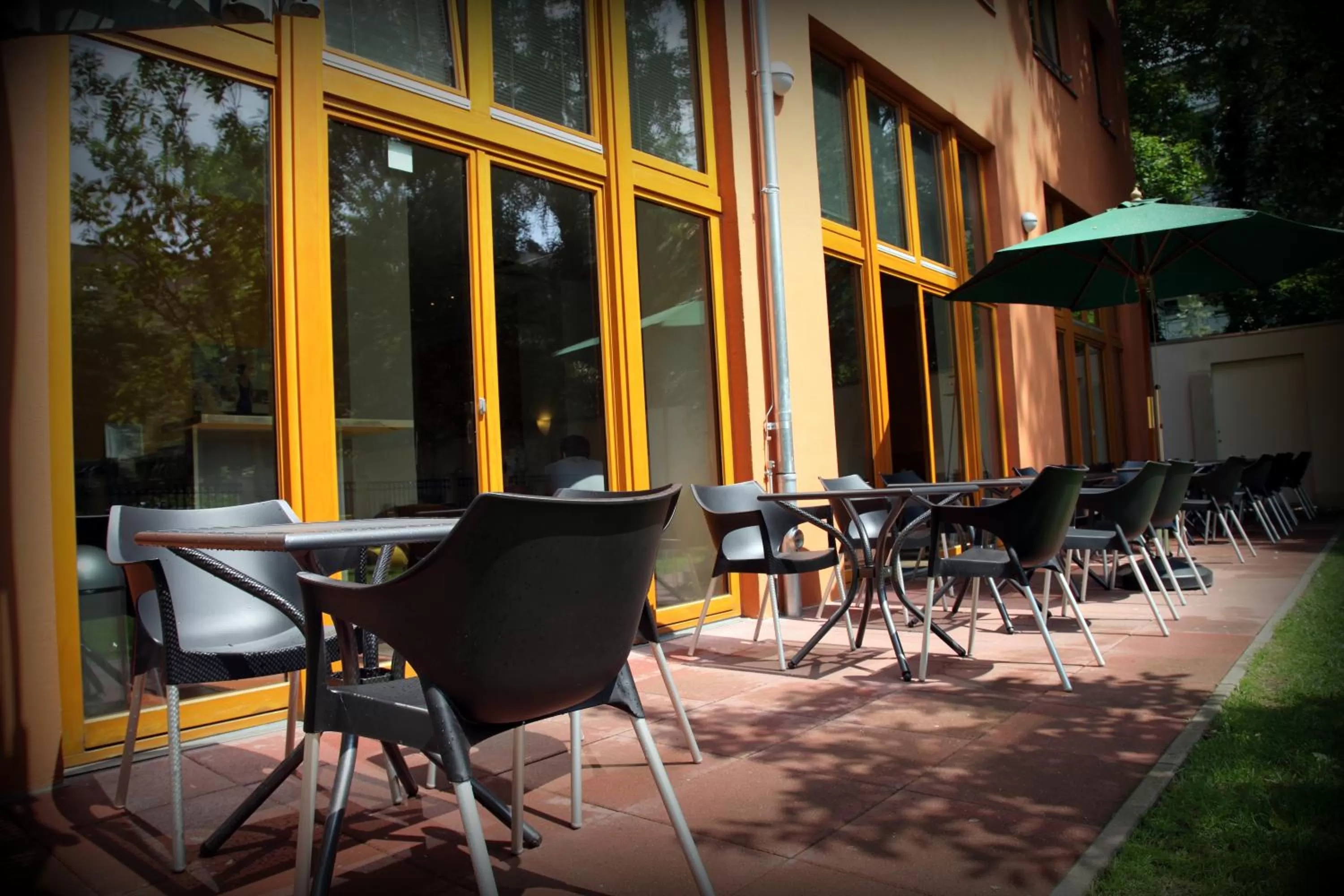 Garden view in Hotel 26