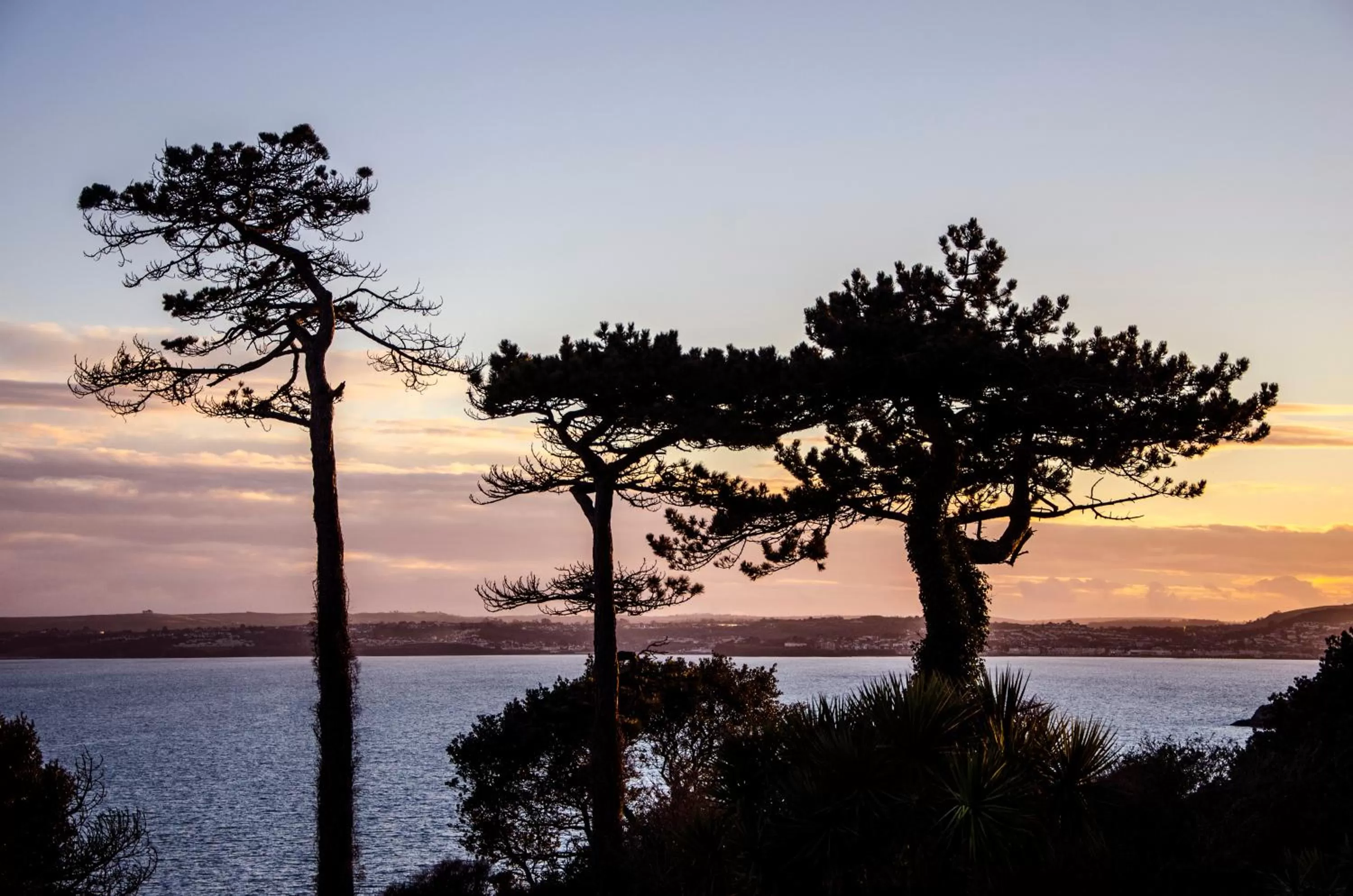 Location in Palm Grove Apartments