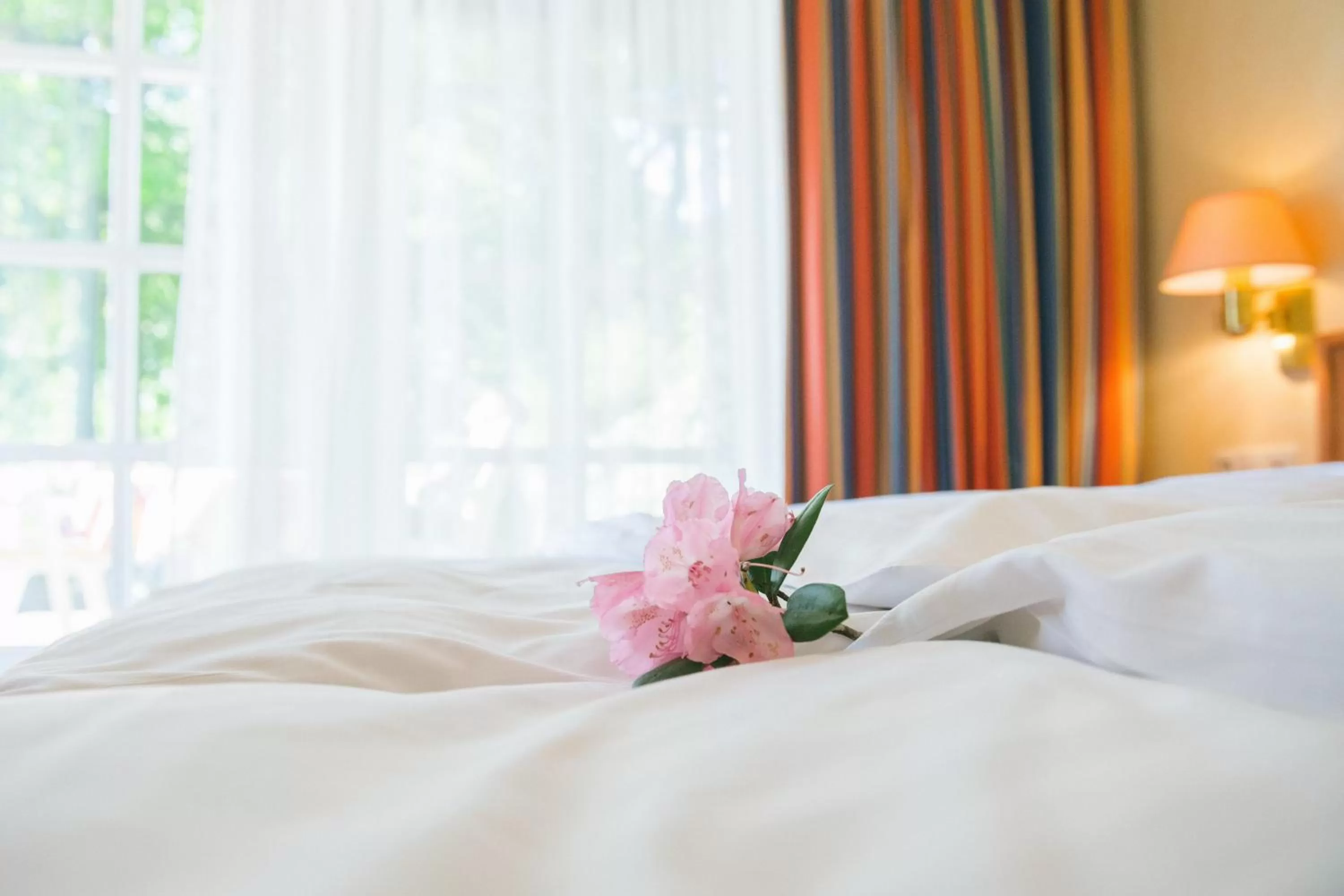 Day, Bed in Hotel Landhaus Höpen