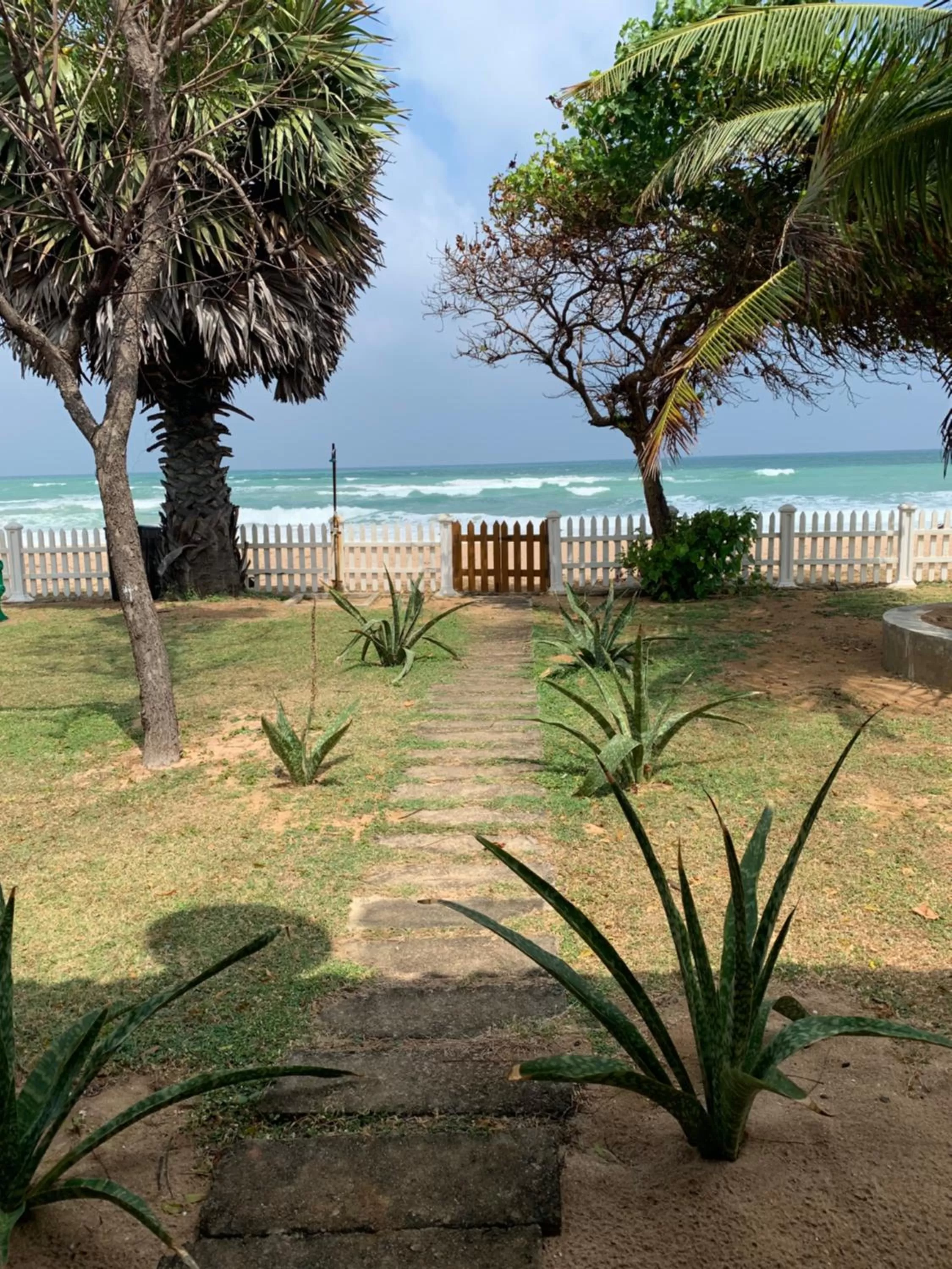 Garden in Pearl Oceanic Resort - Trincomalee