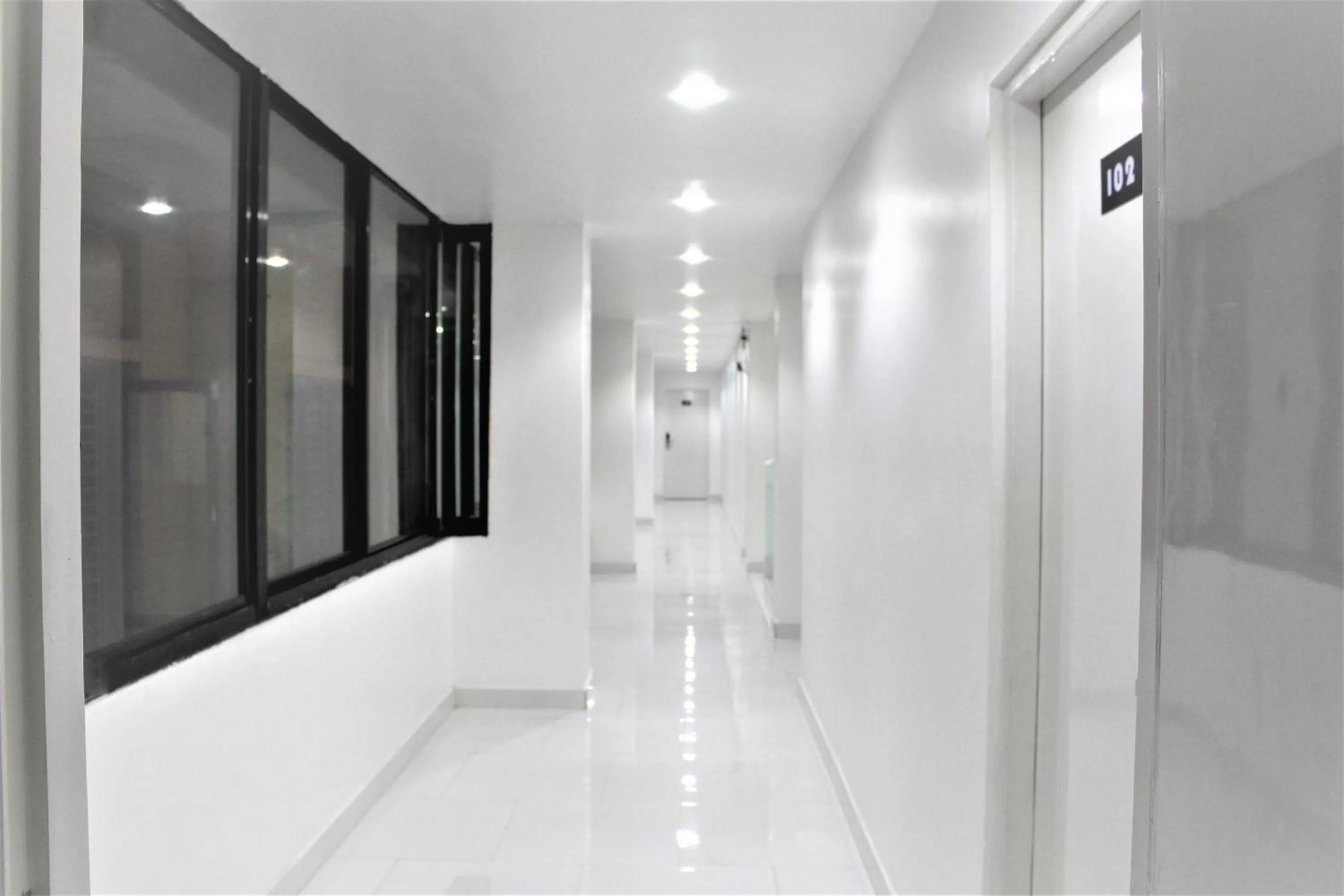 Animals, Bathroom in Hotel Hulk