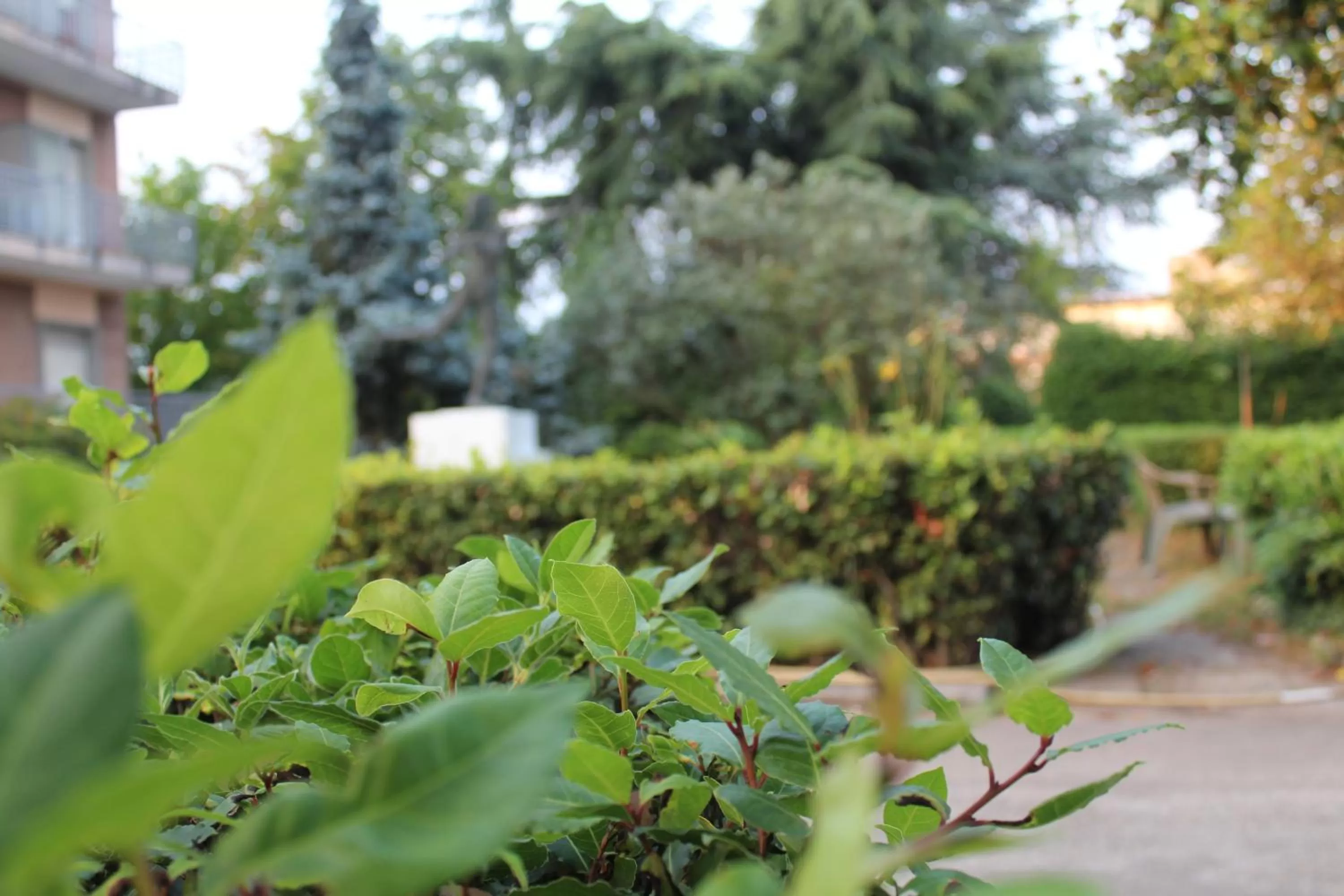 Property building in Hotel Diana