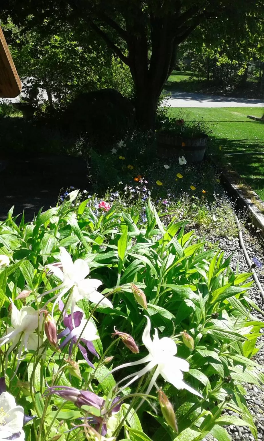 Garden in Alaska Chalet Bed & Breakfast