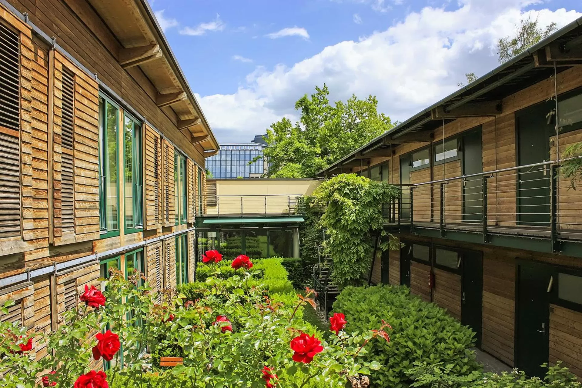 Patio in Scheck Hotel