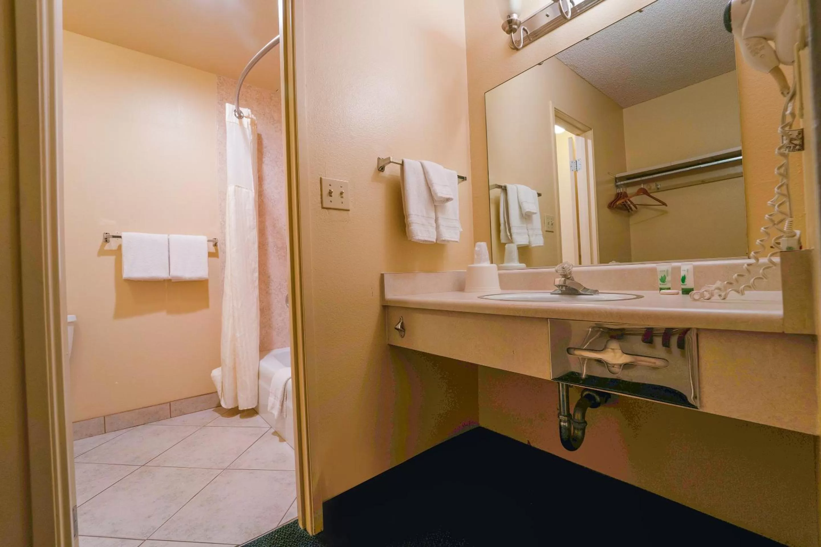 Bathroom in Royal Plaza Inn