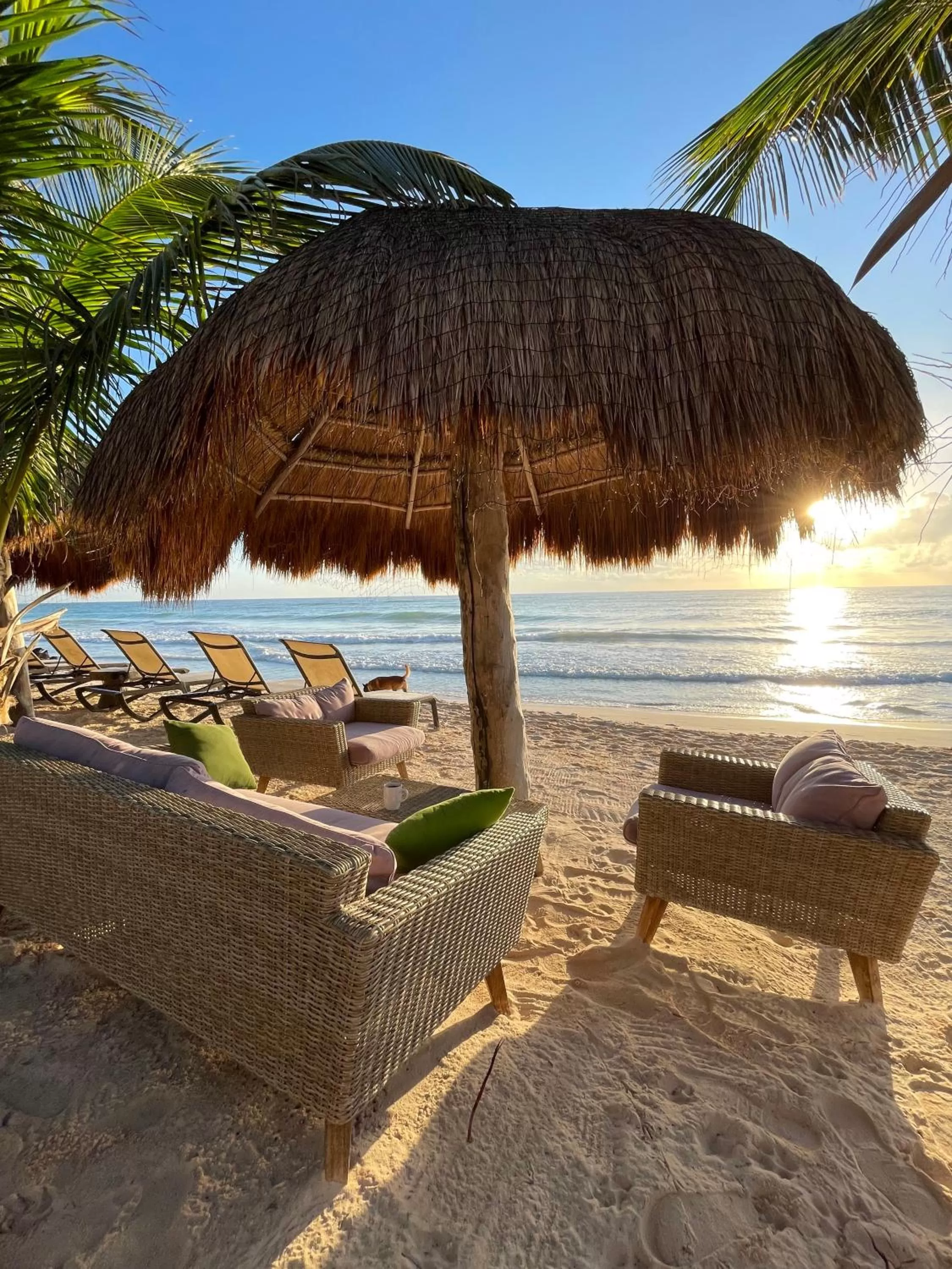 Beach in Sueños Tulum