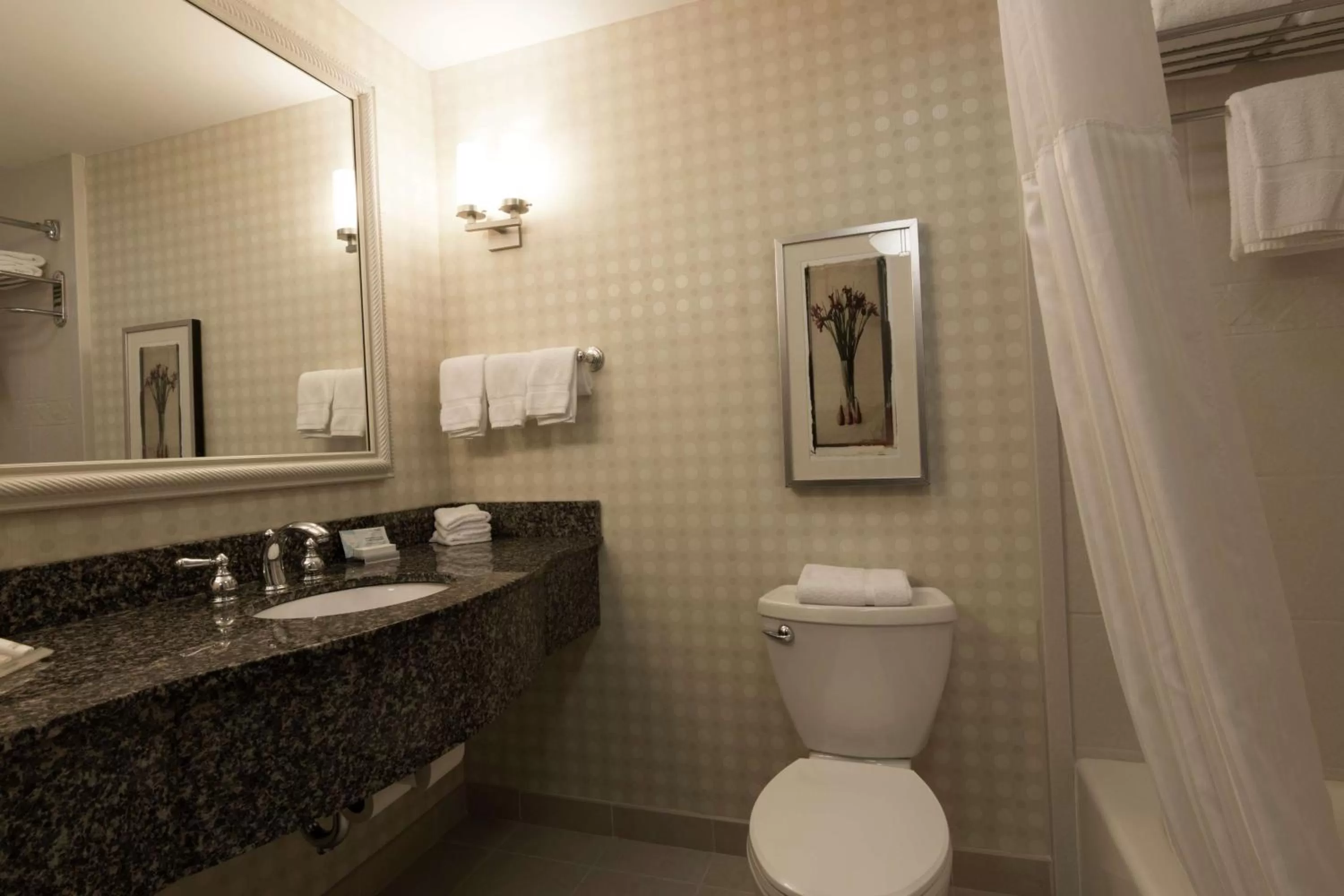 Bathroom in Hilton Garden Inn Bangor