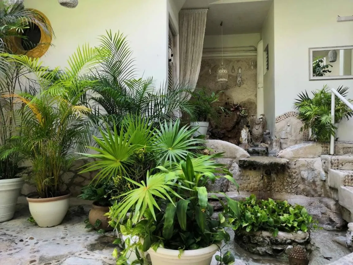 Patio in Hotel Coco Rio "City Center"