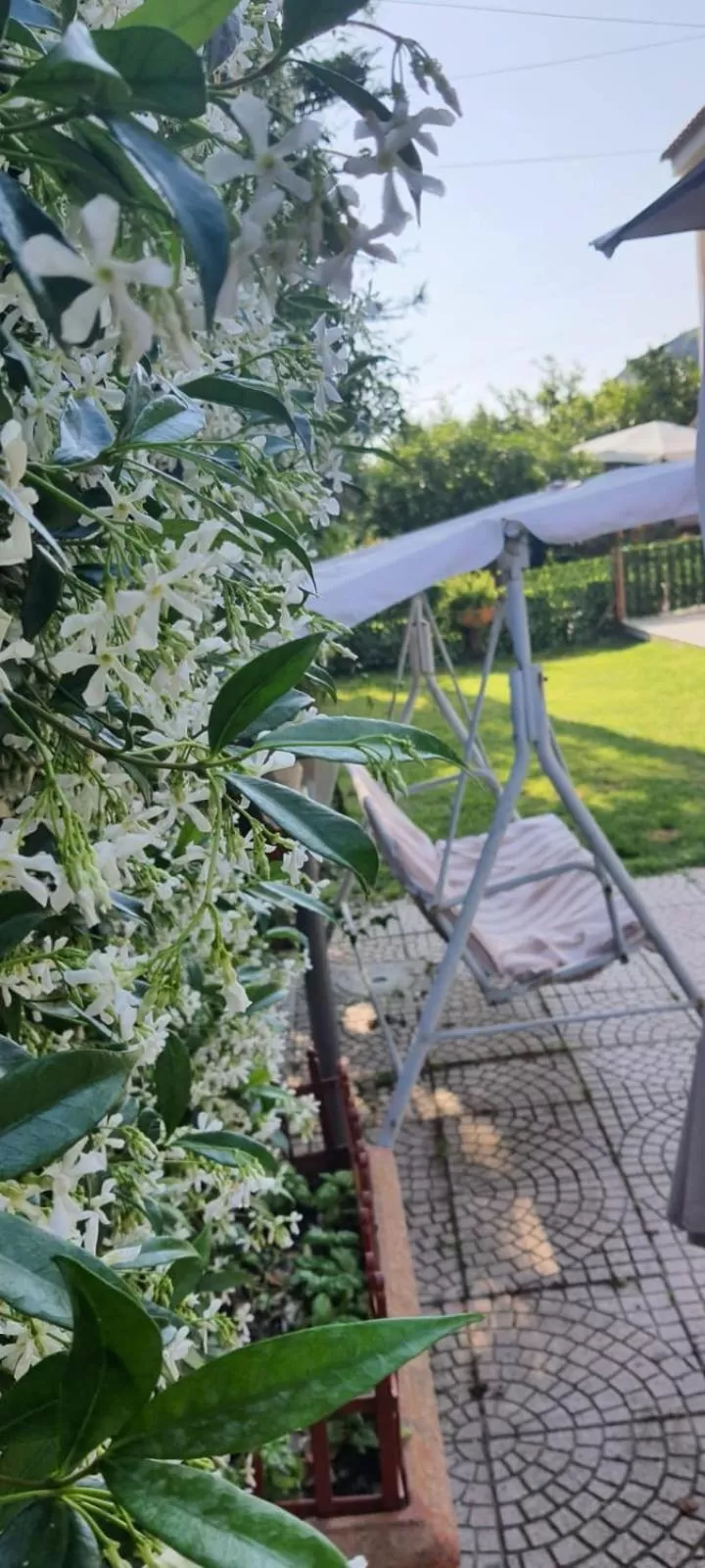 Garden in La casa di Barry