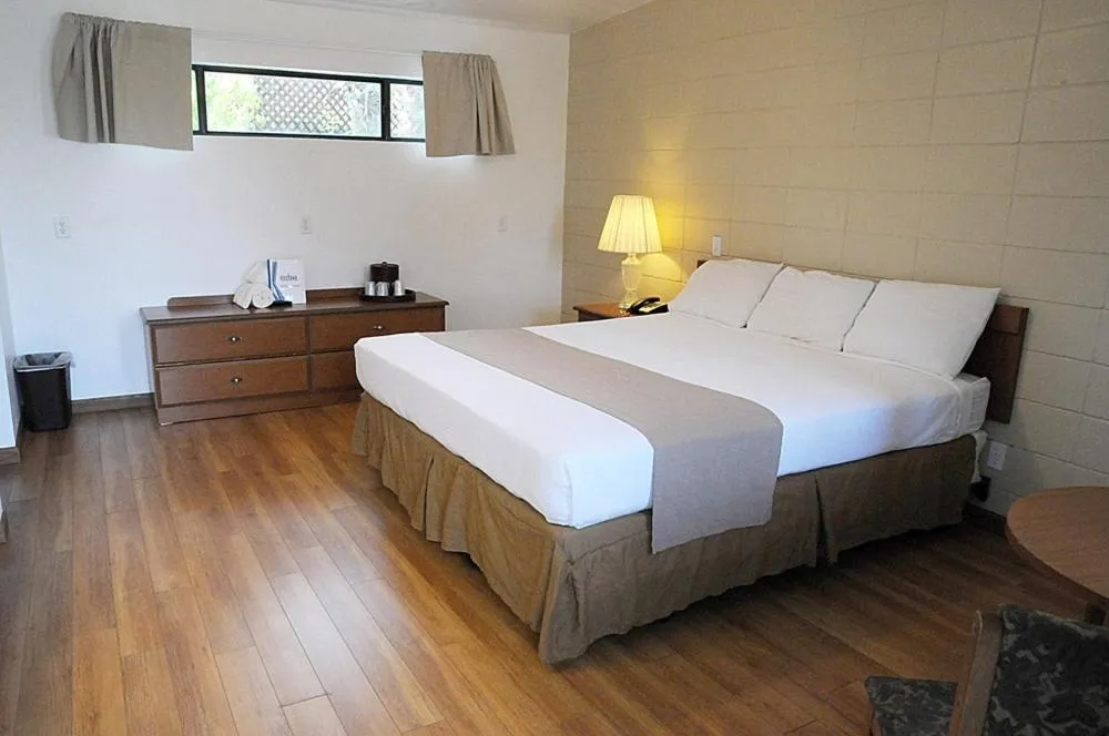 Bed in CCBC Resort Hotel - A Gay Men's Resort