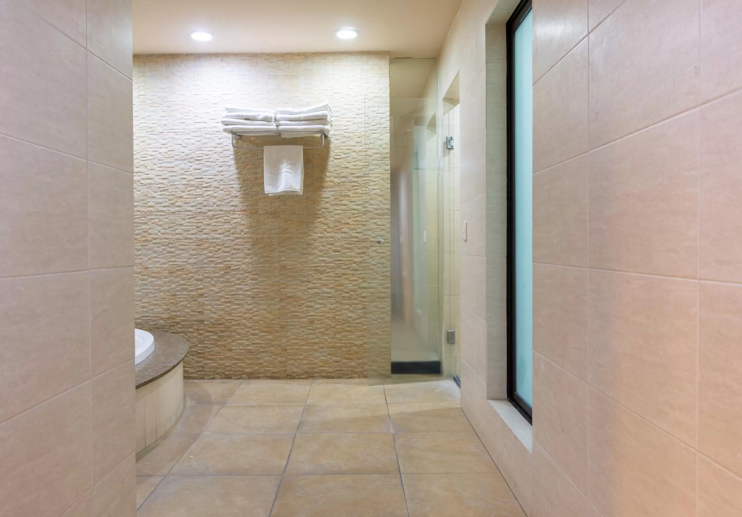 Bathroom in Hotel Flamingo Inn