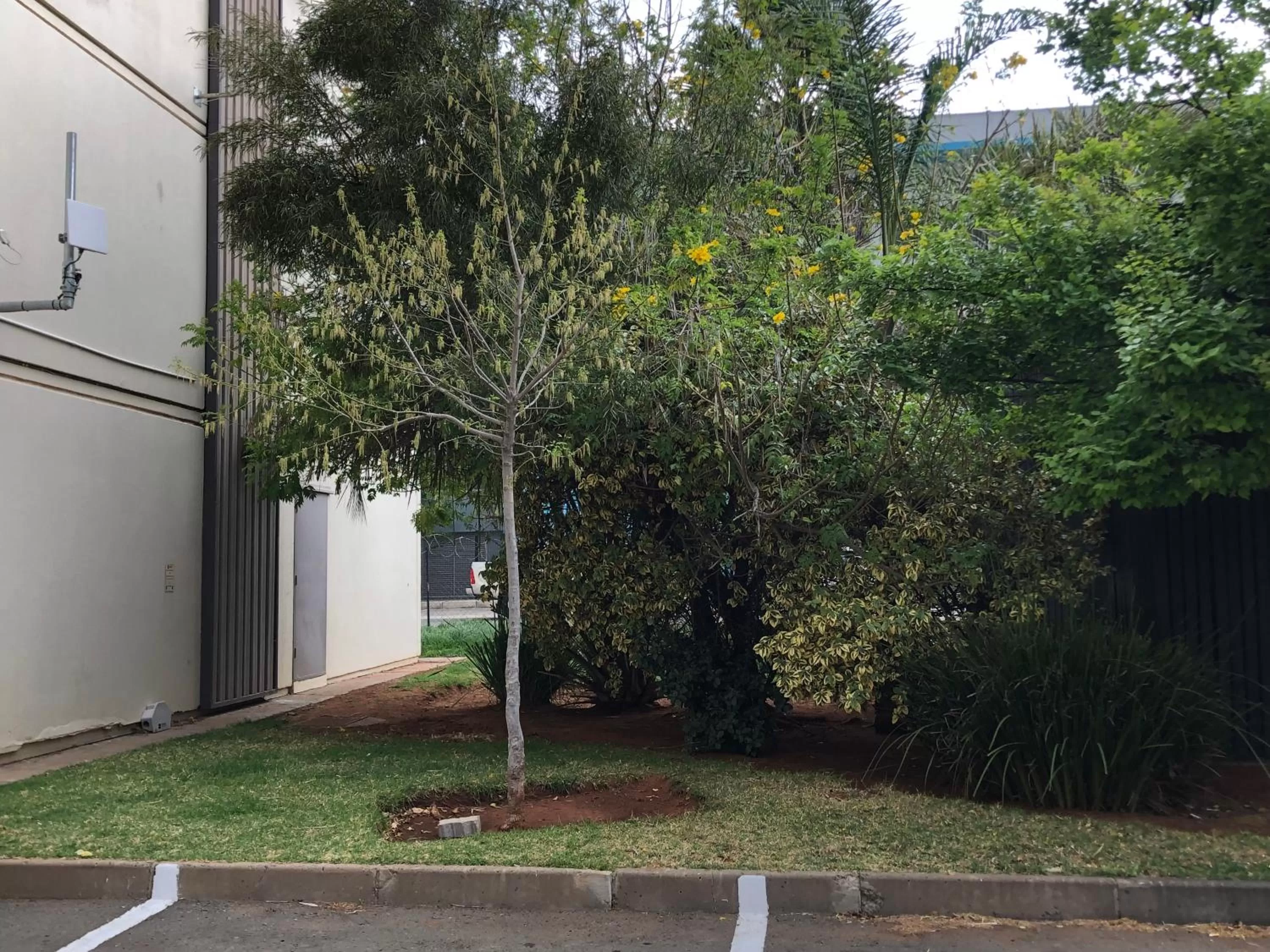 Garden view in SUN1 Kimberley