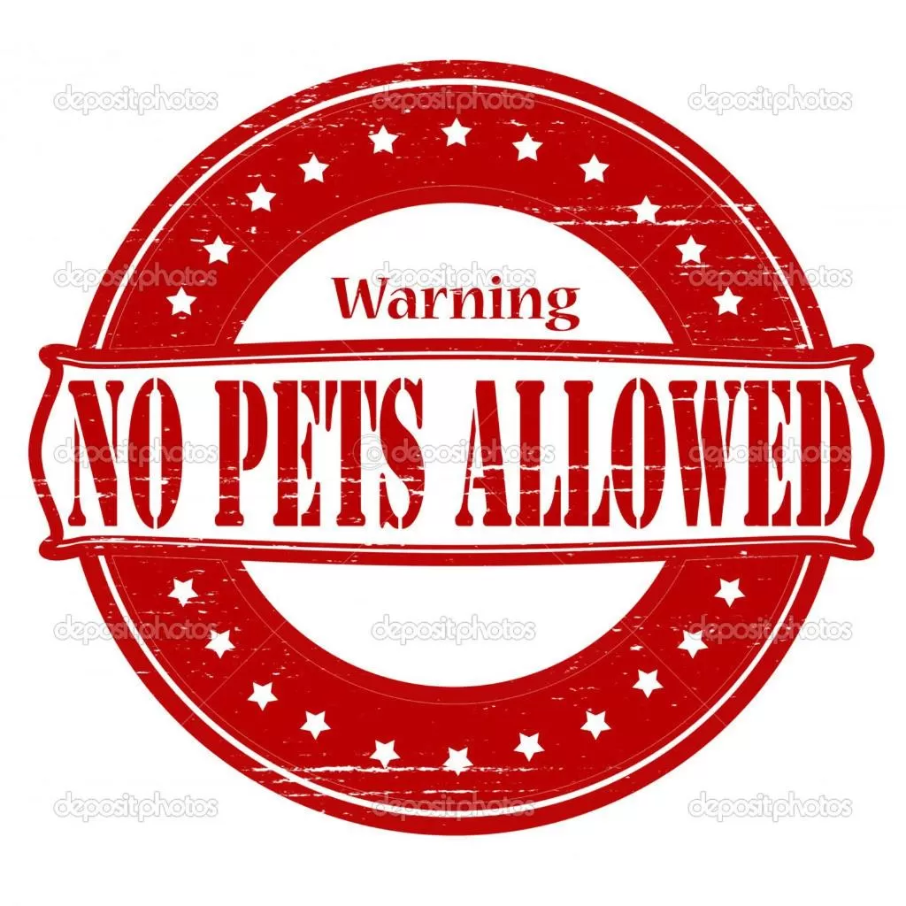 Pets in Hotel Saloon