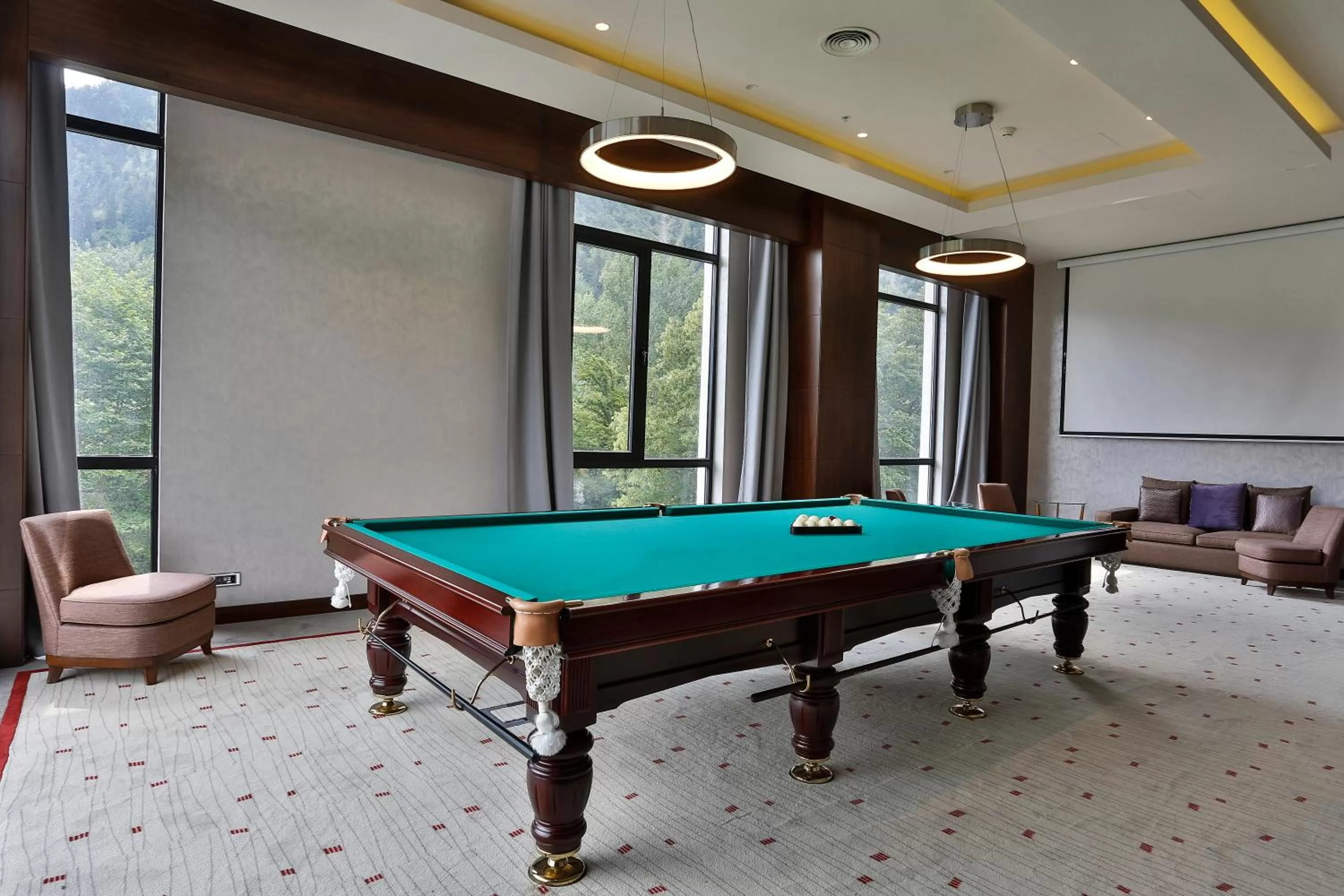 Billiard in Borjomi Likani Health & Spa Centre