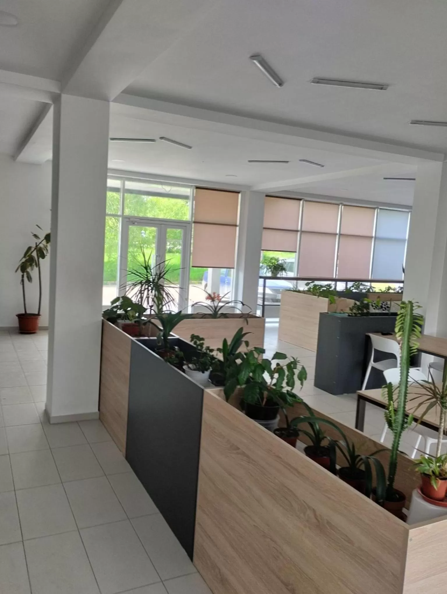 Kitchen or kitchenette in PARK-hotel