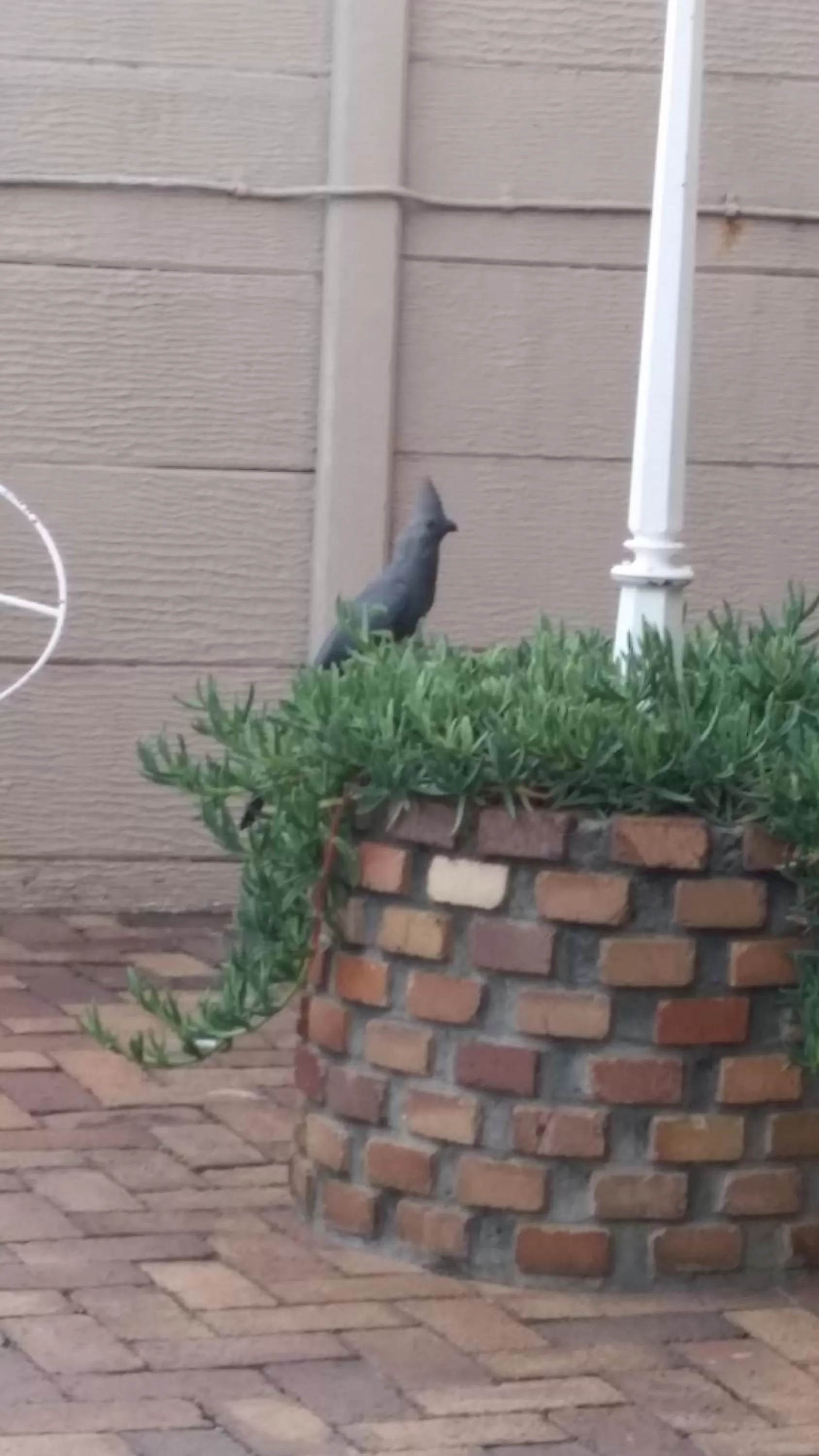 Swimming pool in Moye Guest House
