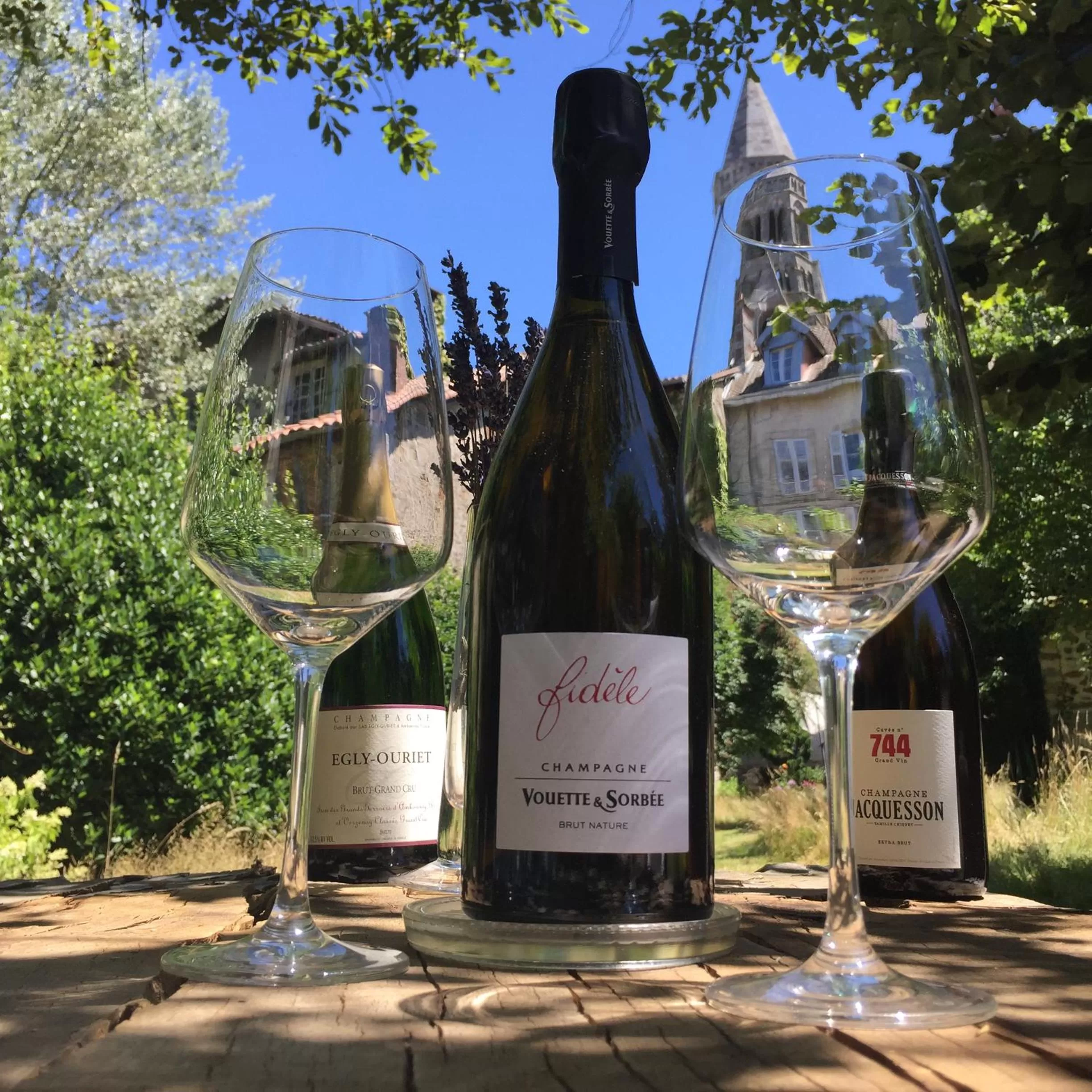 Garden in Le Jardin des Lys