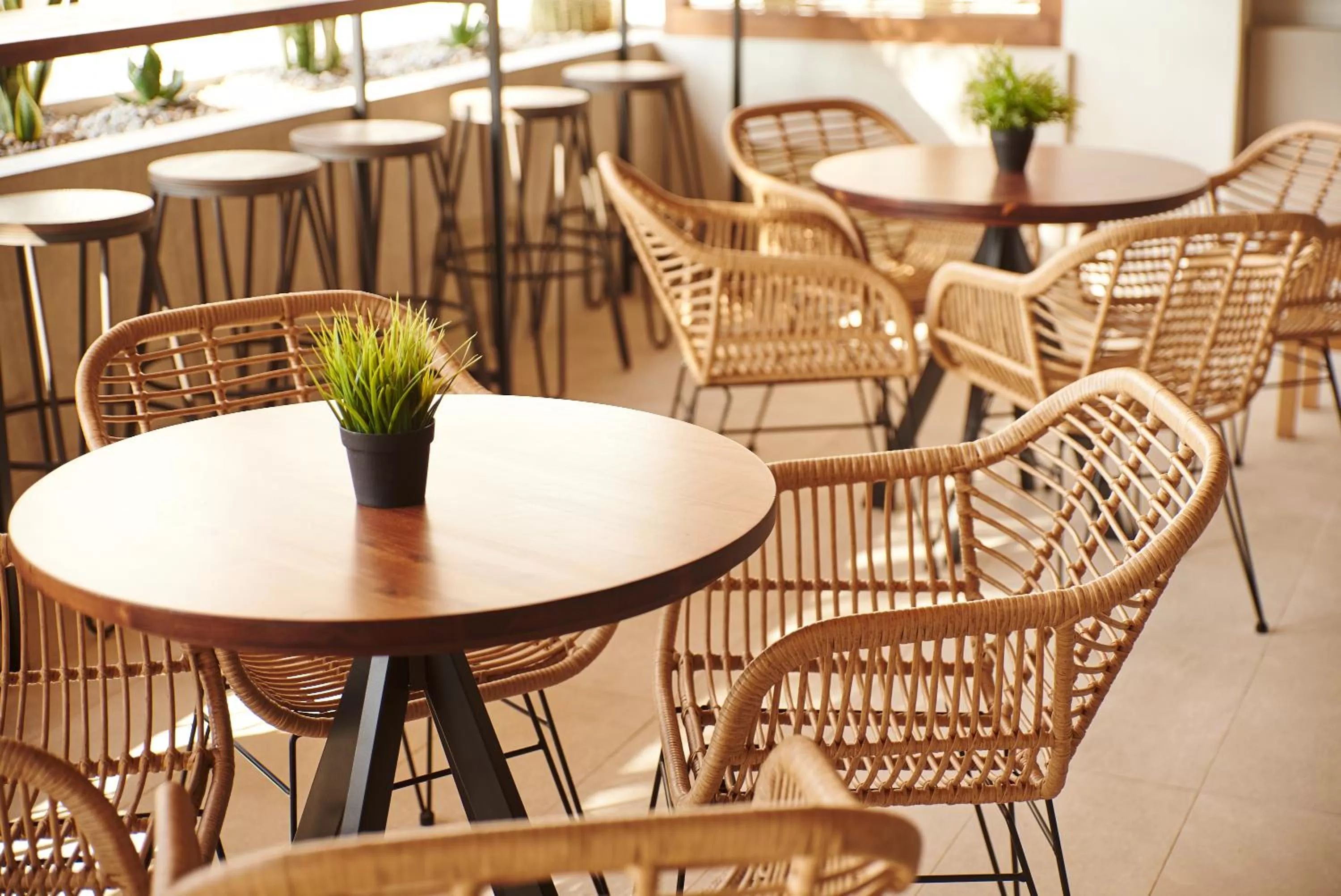 Restaurant/places to eat in DWO Sirius